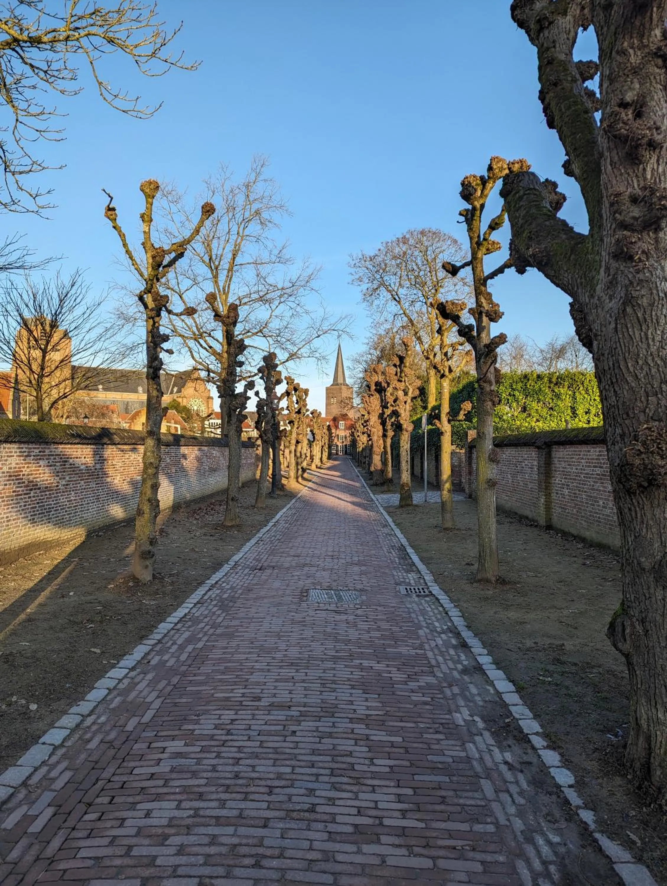 Day in 1851 Bar - Hotel - Cinema