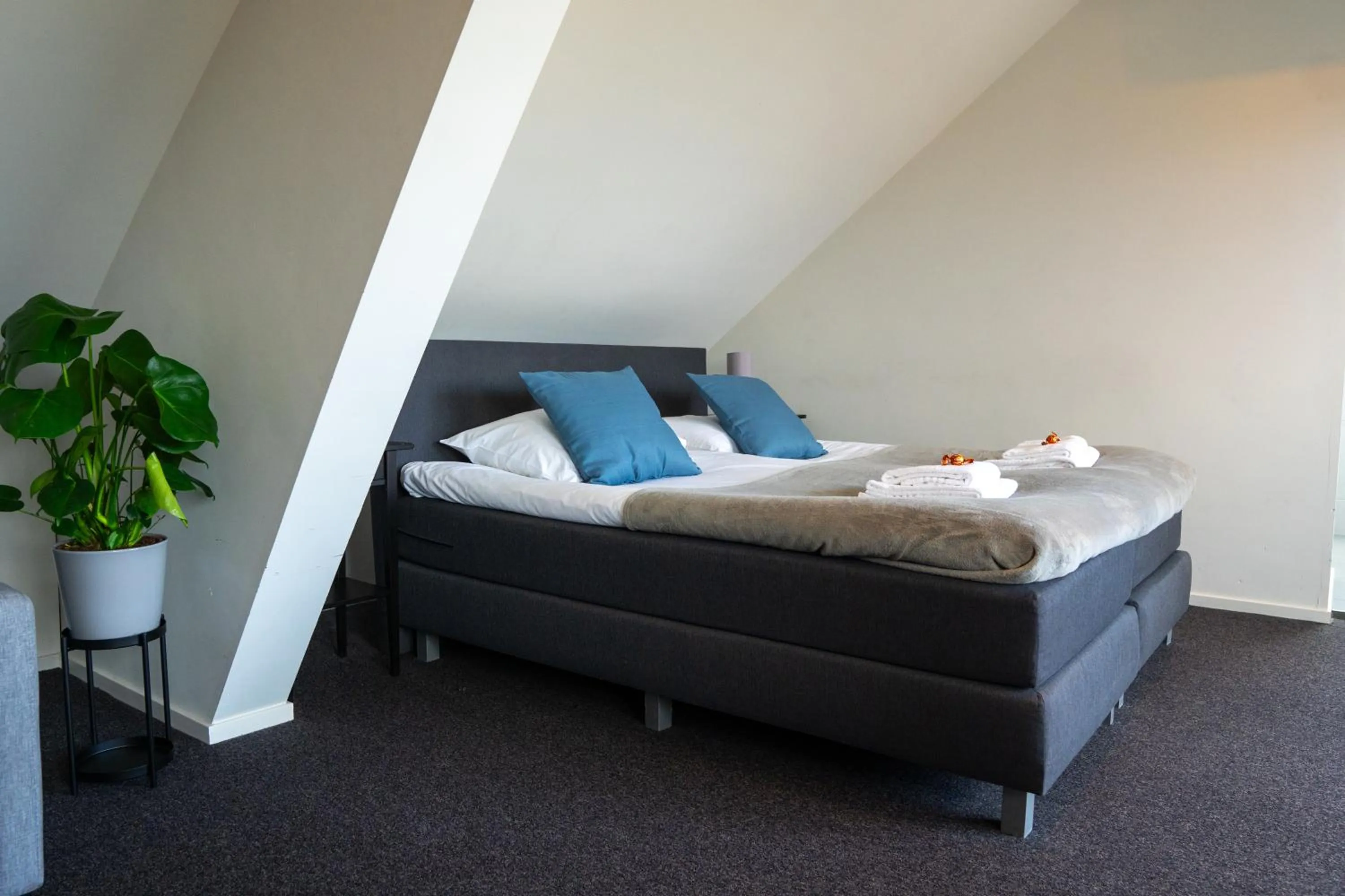 Bed in 1851 Bar - Hotel - Cinema