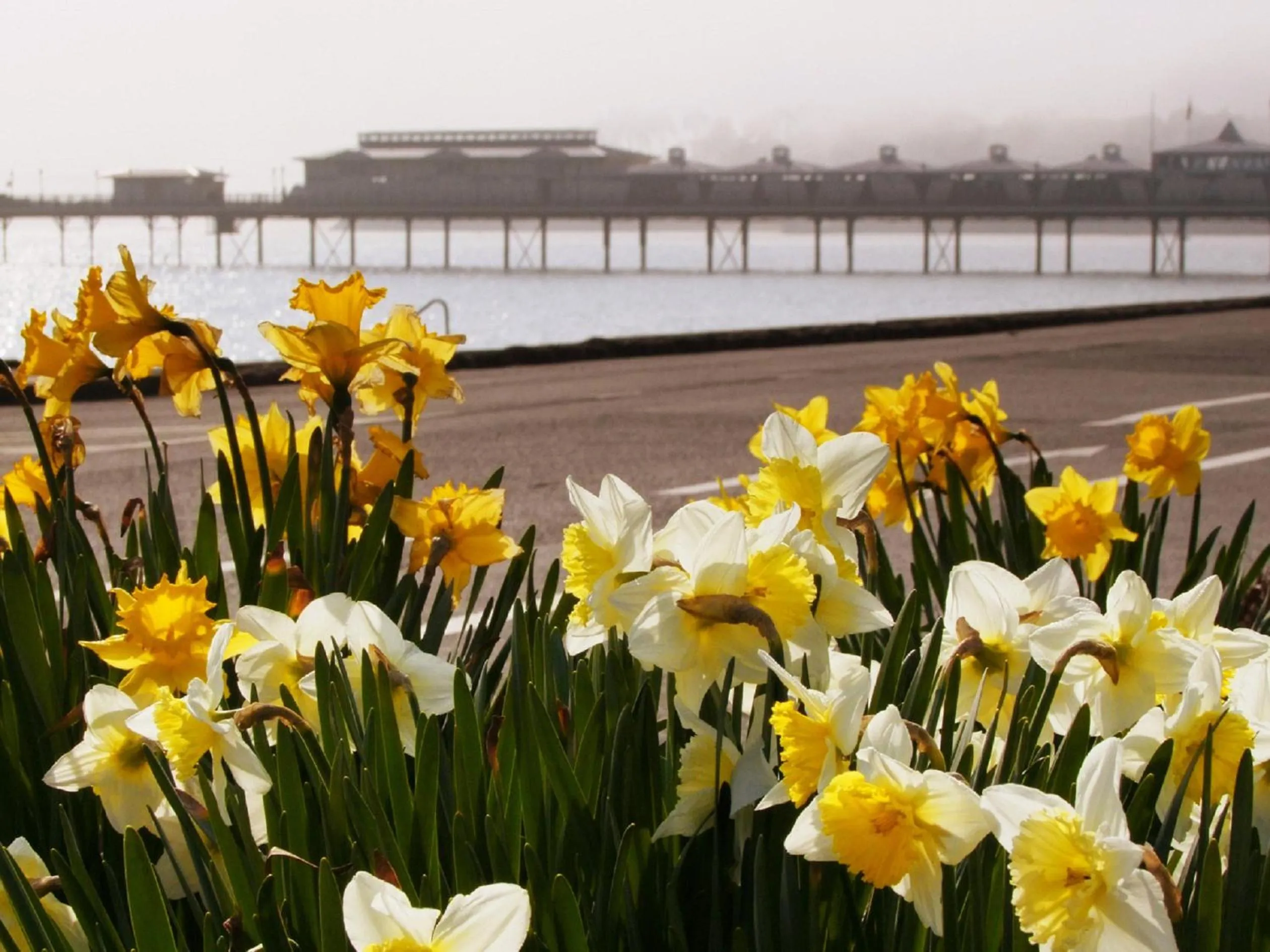 Other in Broadshade Holiday Apartments