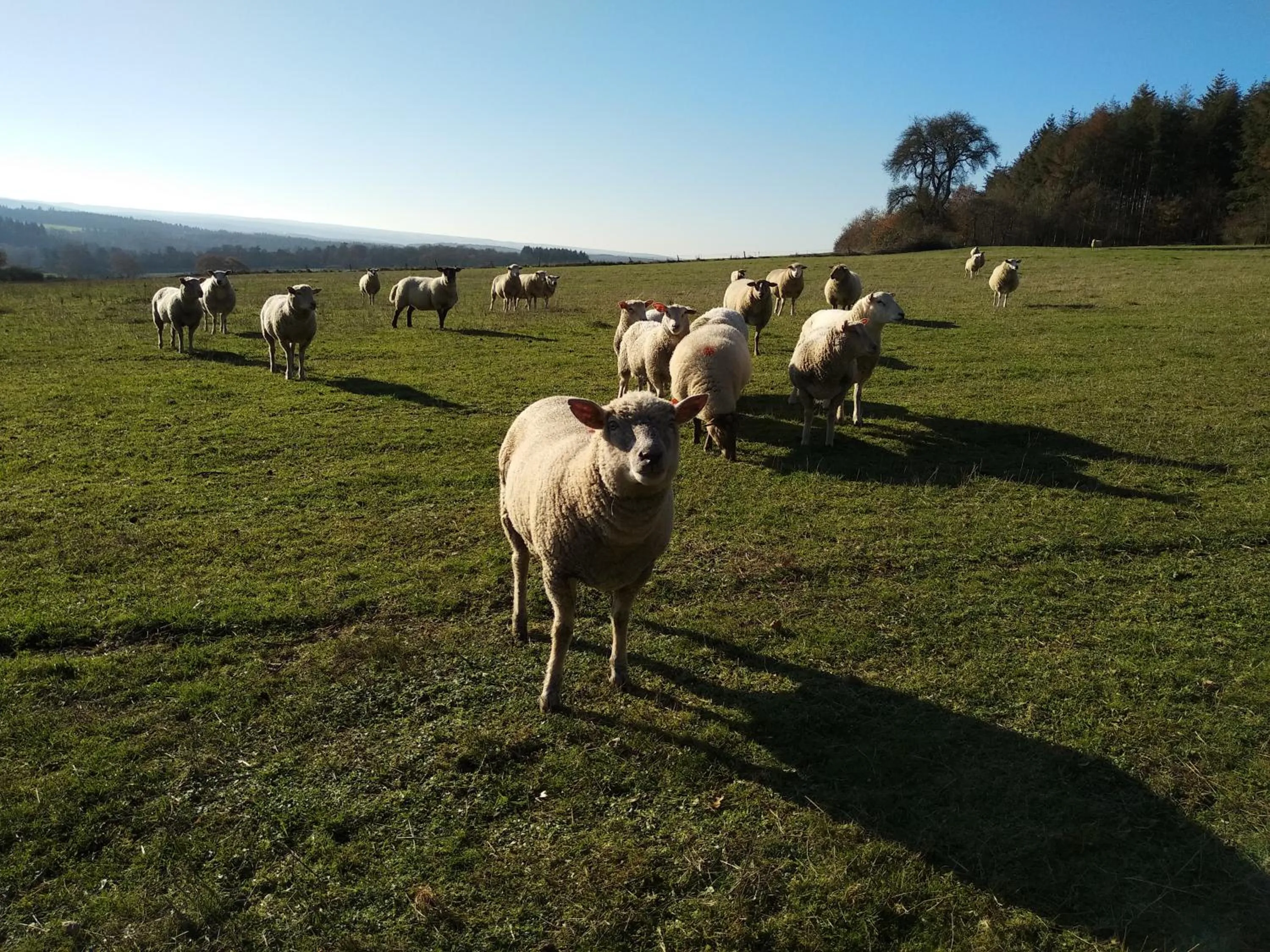 Les2sources Bike-B&B