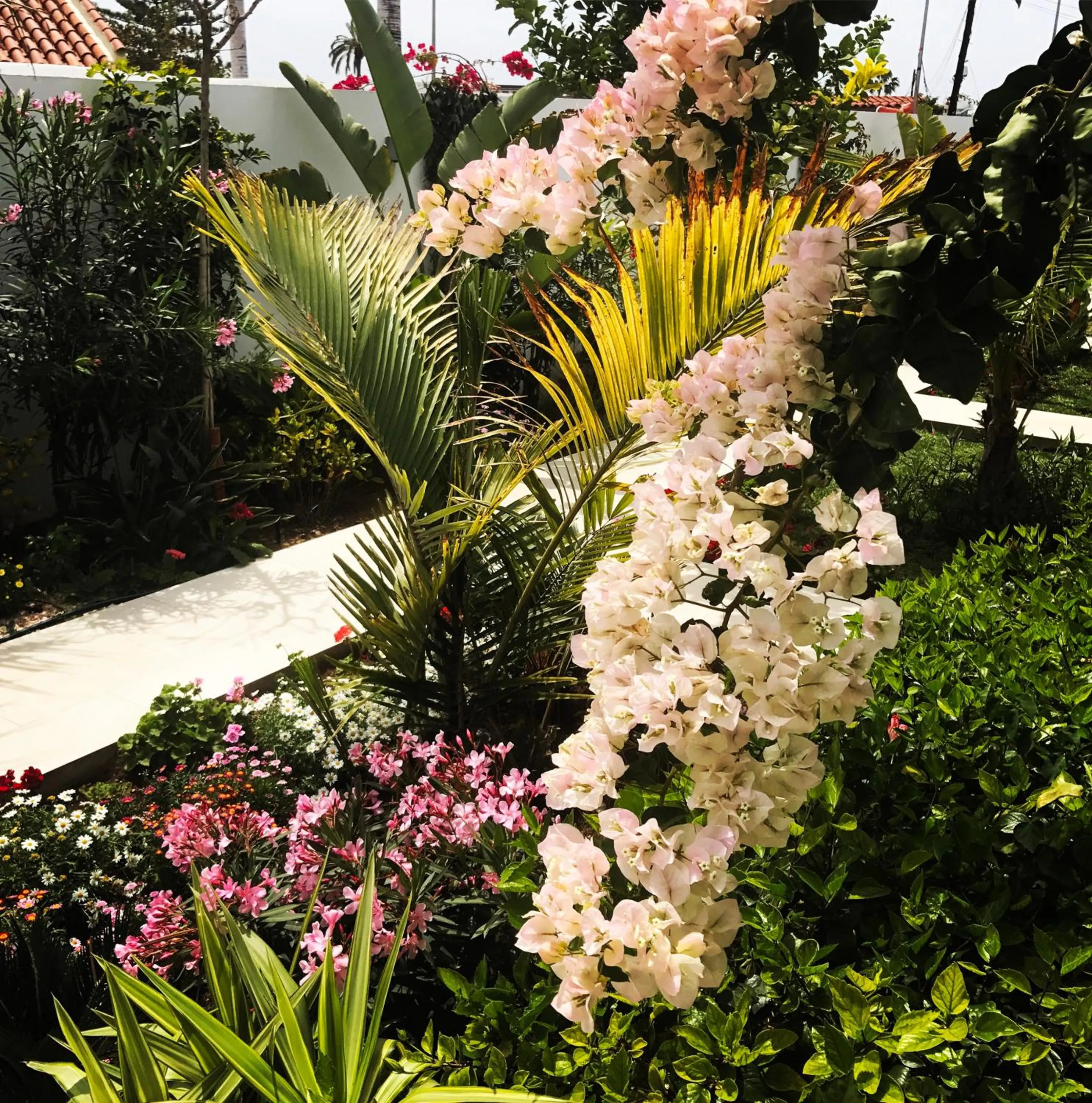 Villa Adler Men Only