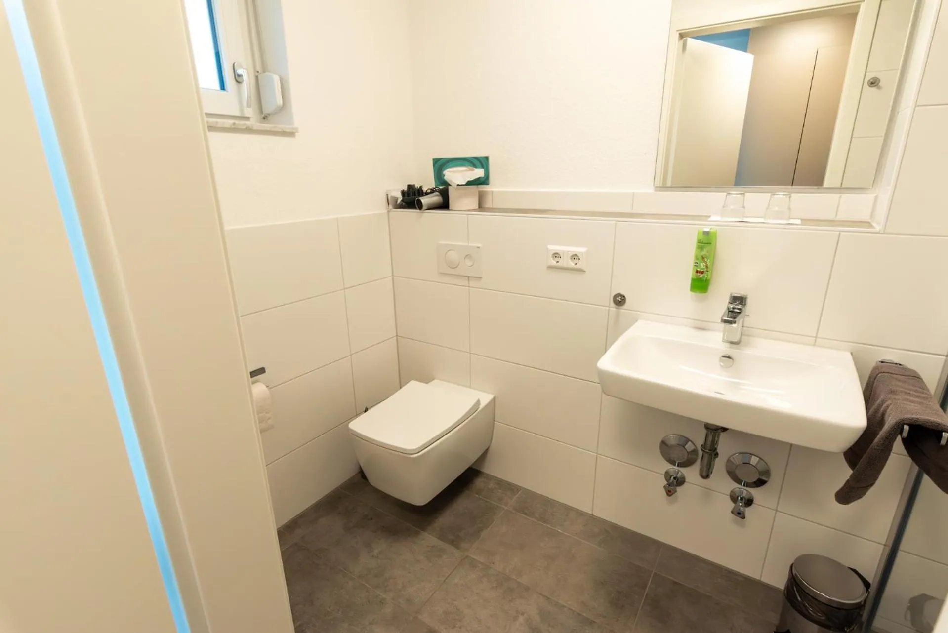 Toilet in Hotel Restaurant Fallerhof