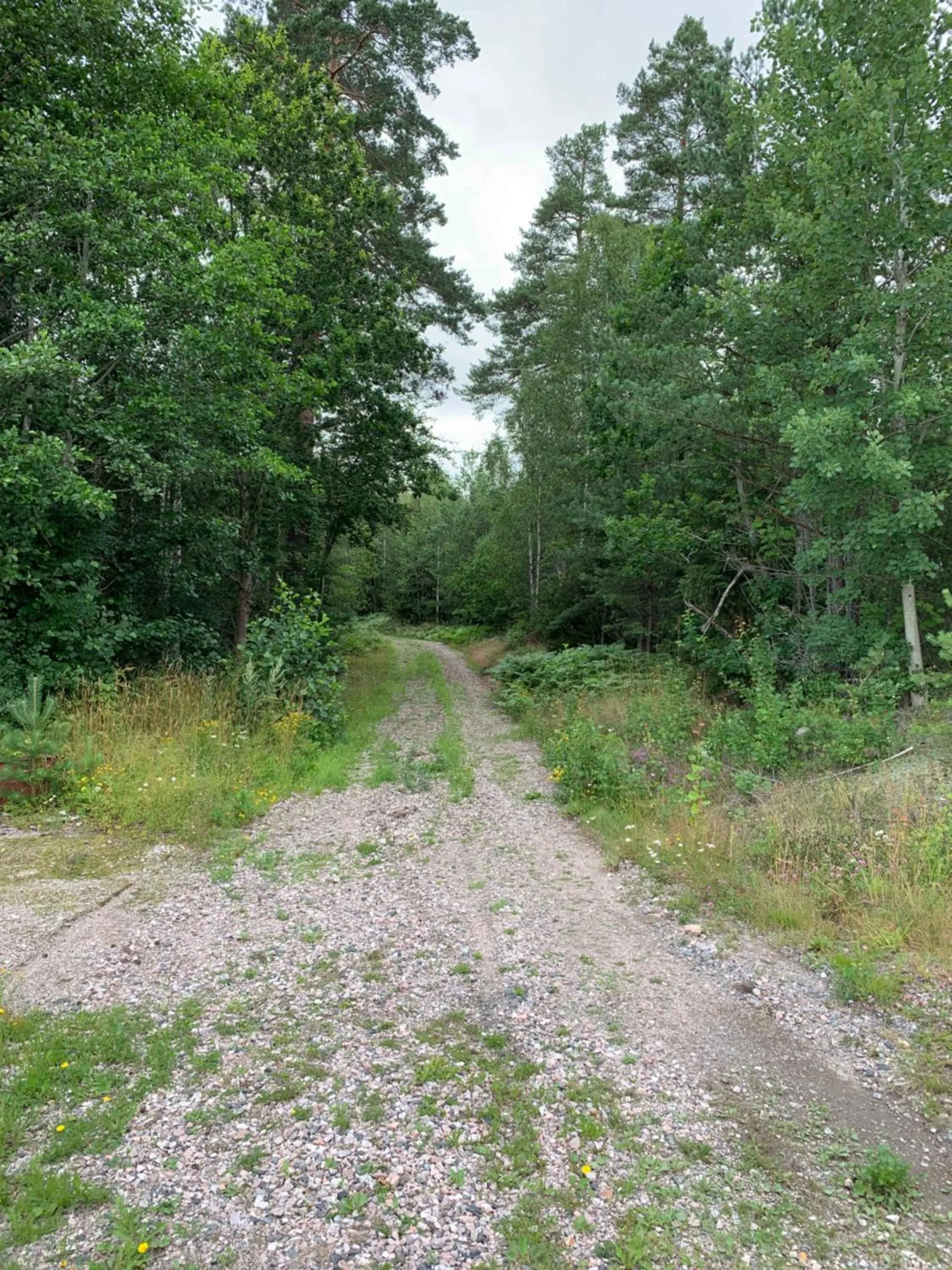 Noah longstay Arboga