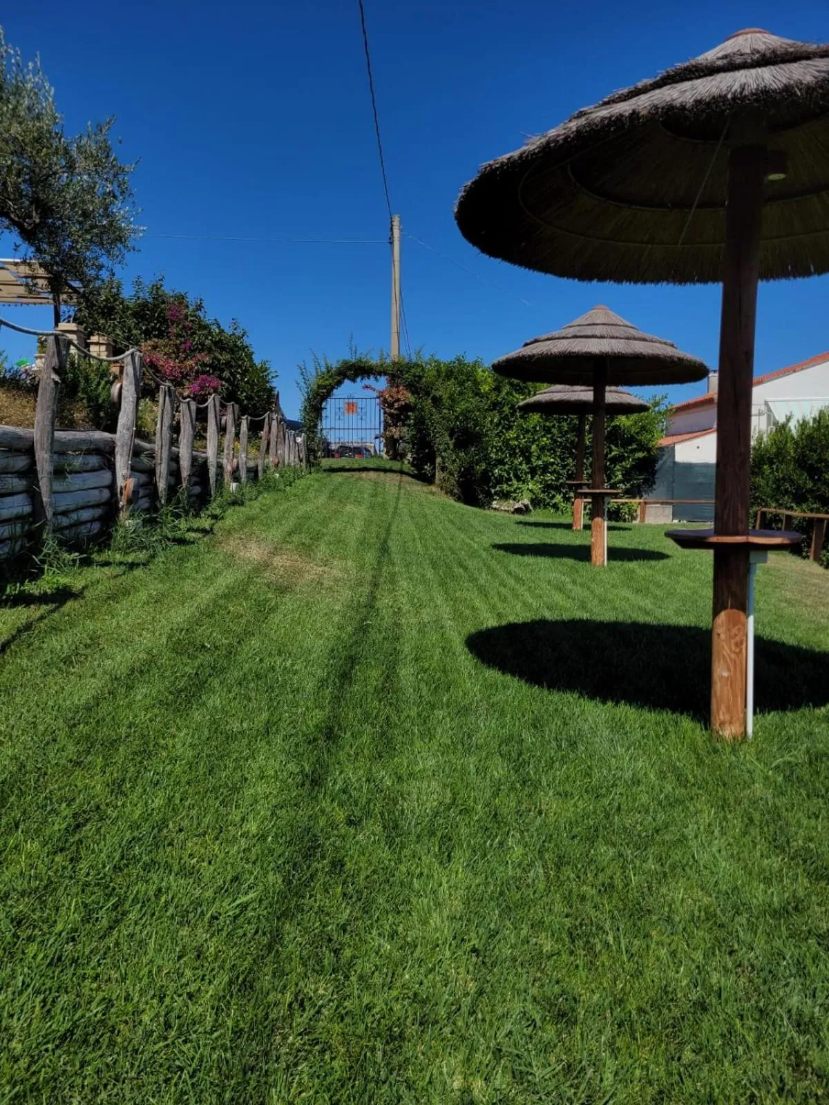 Garden in B&B Villa Melania