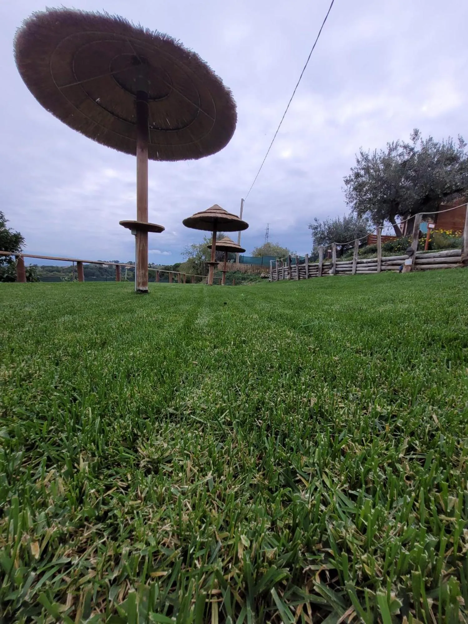 Garden in B&B Villa Melania