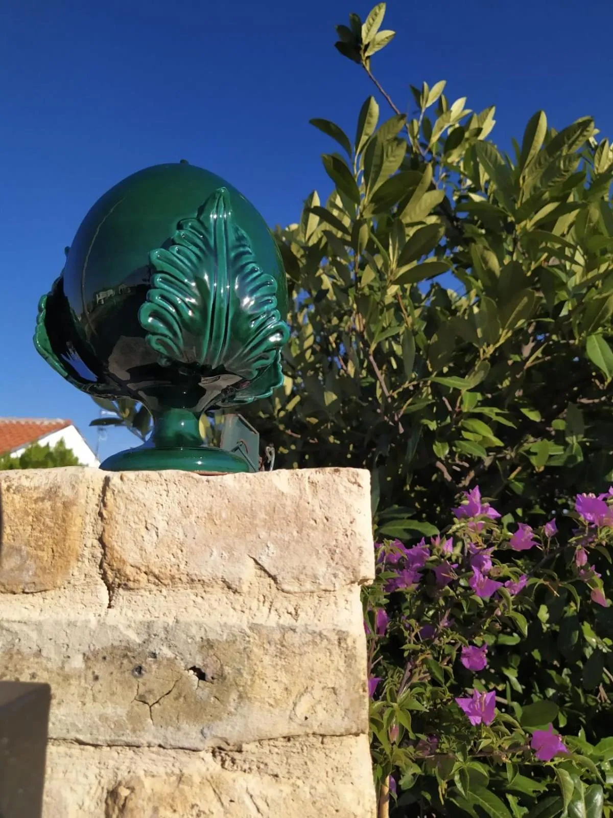 Garden in B&B Villa Melania