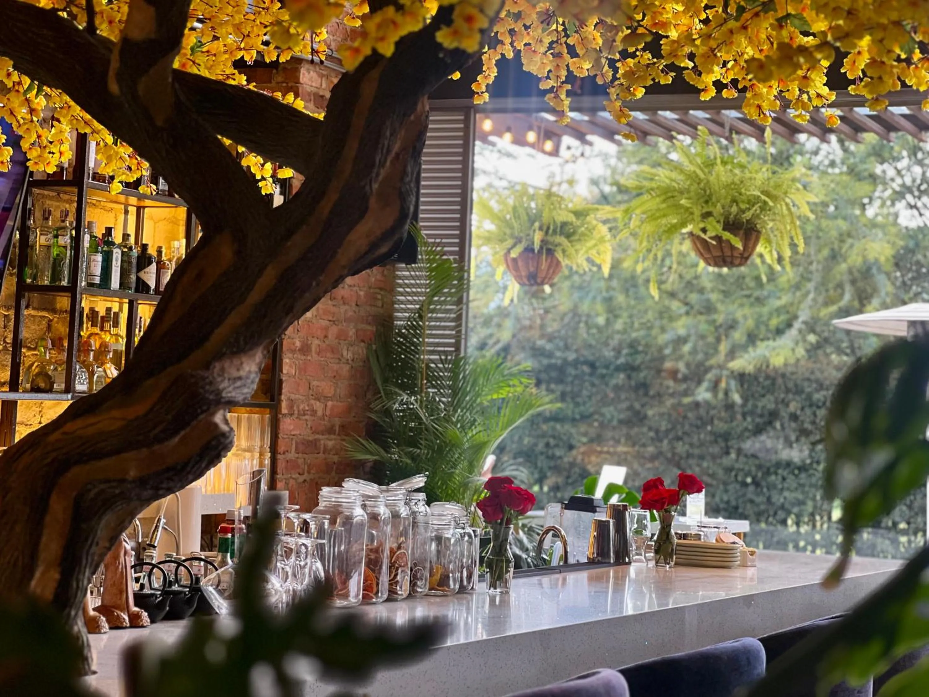 Restaurant/places to eat in Hotel Sabana Park