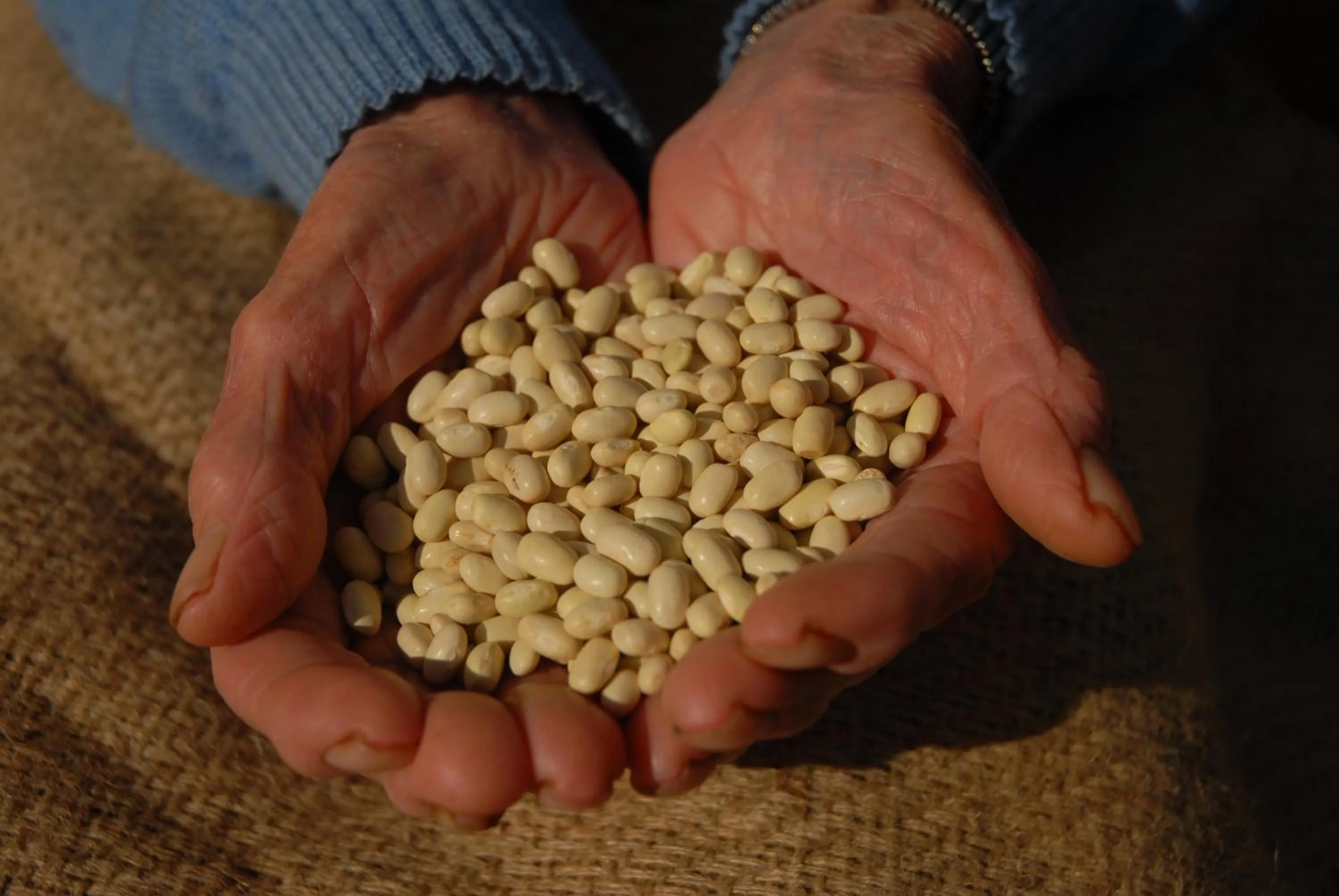 Fattoria Nonno Neno B&B