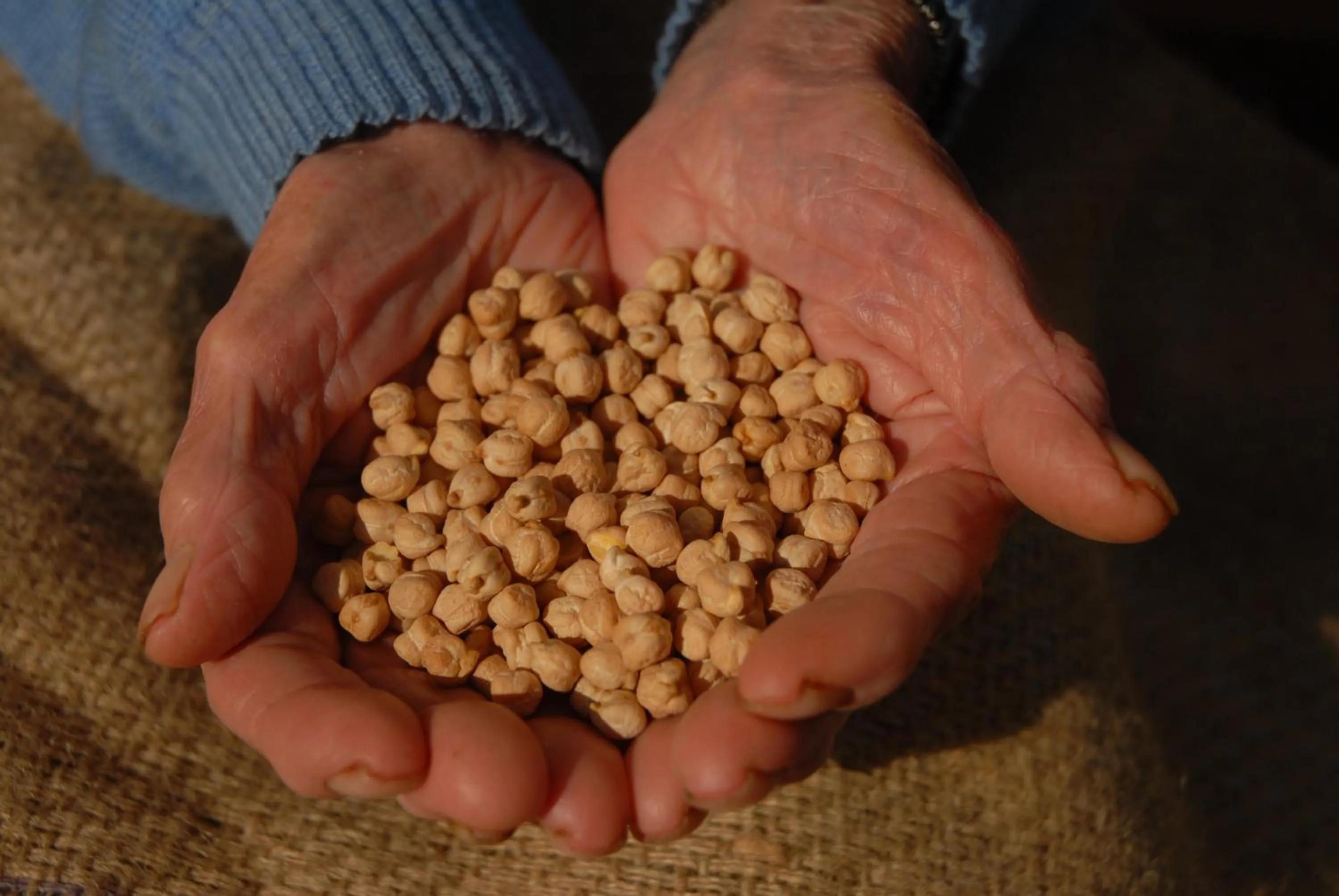 Fattoria Nonno Neno B&B