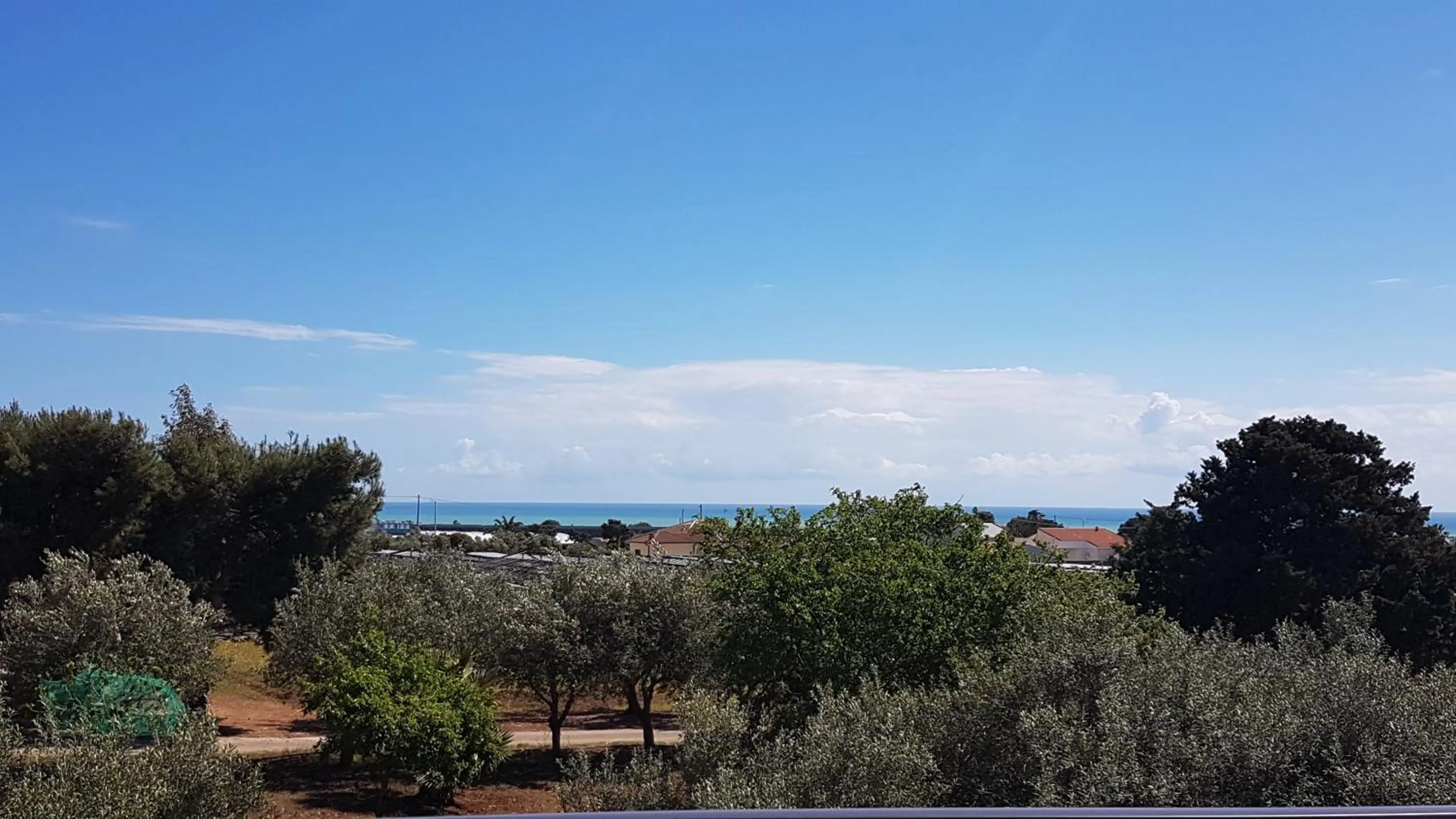 Turtle Island Apartments