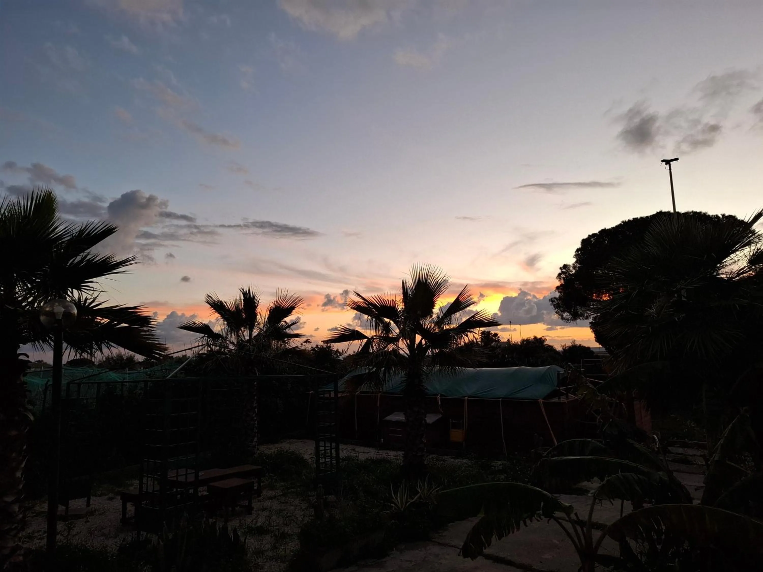 Turtle Island Apartments