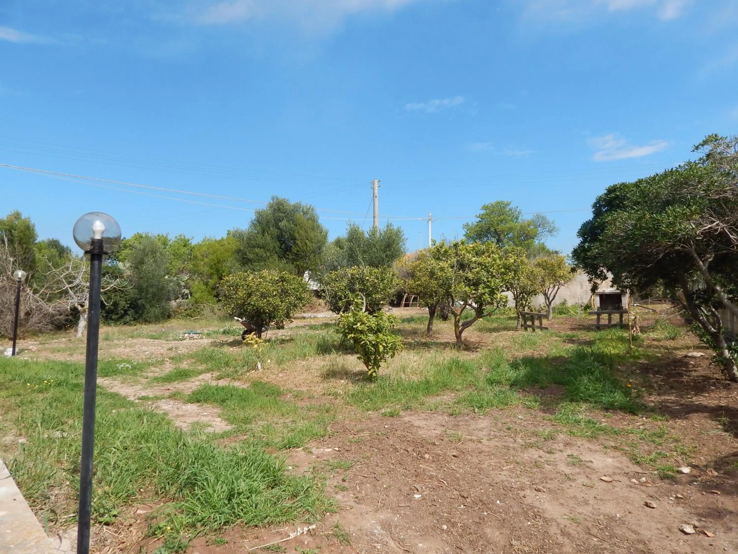 Turtle Island Apartments