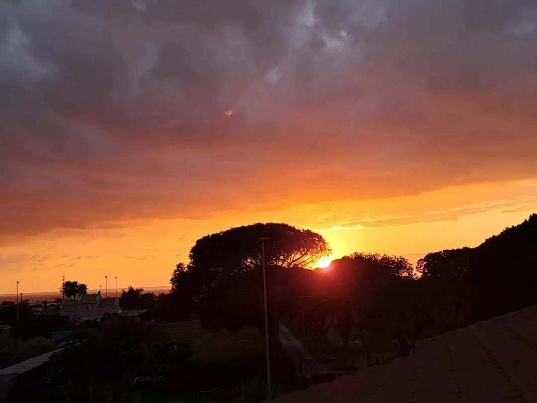 Turtle Island Apartments