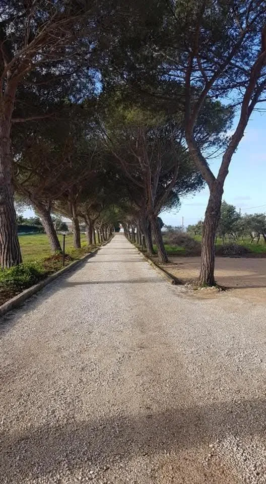 Turtle Island Apartments