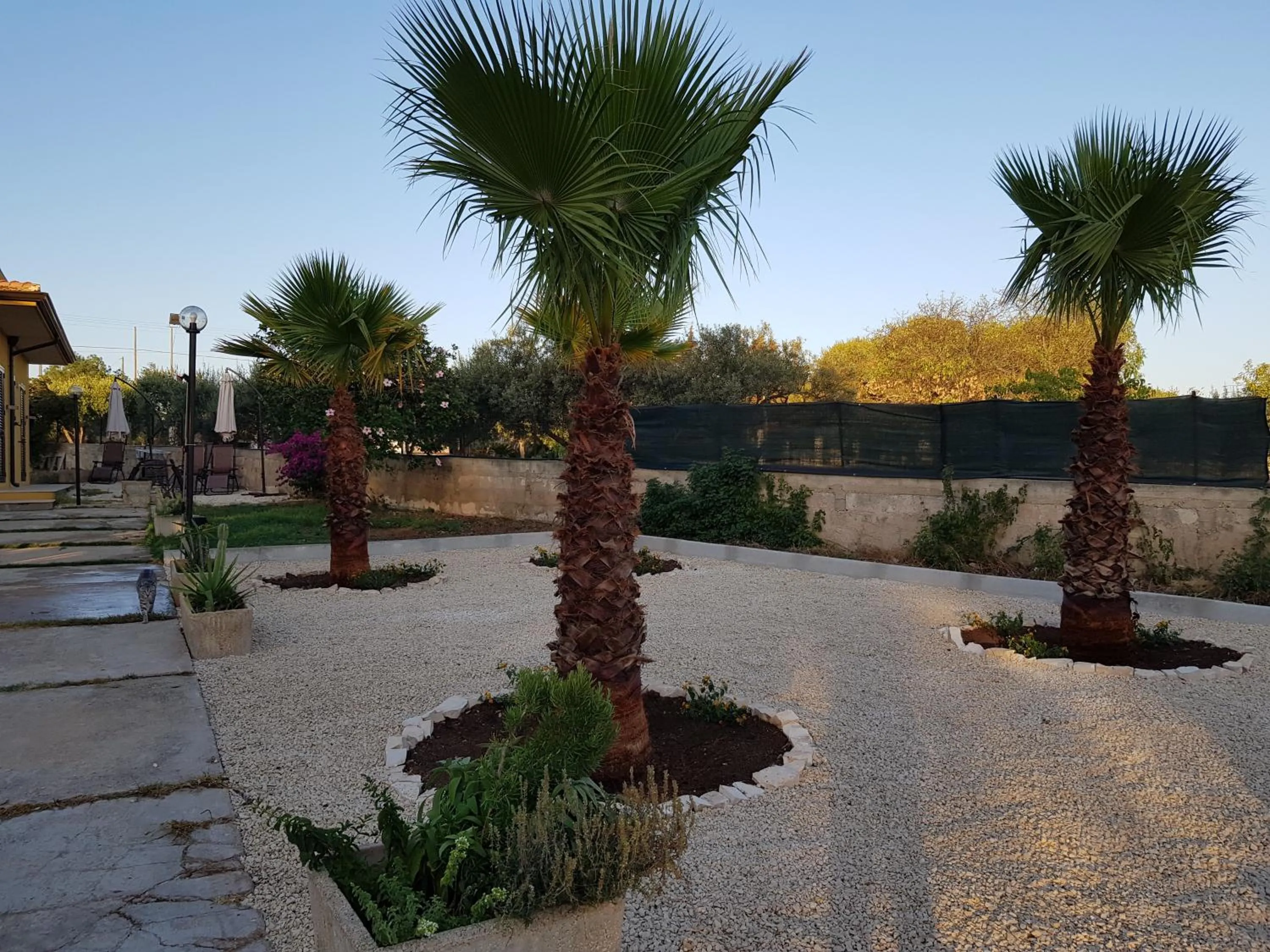 Turtle Island Apartments