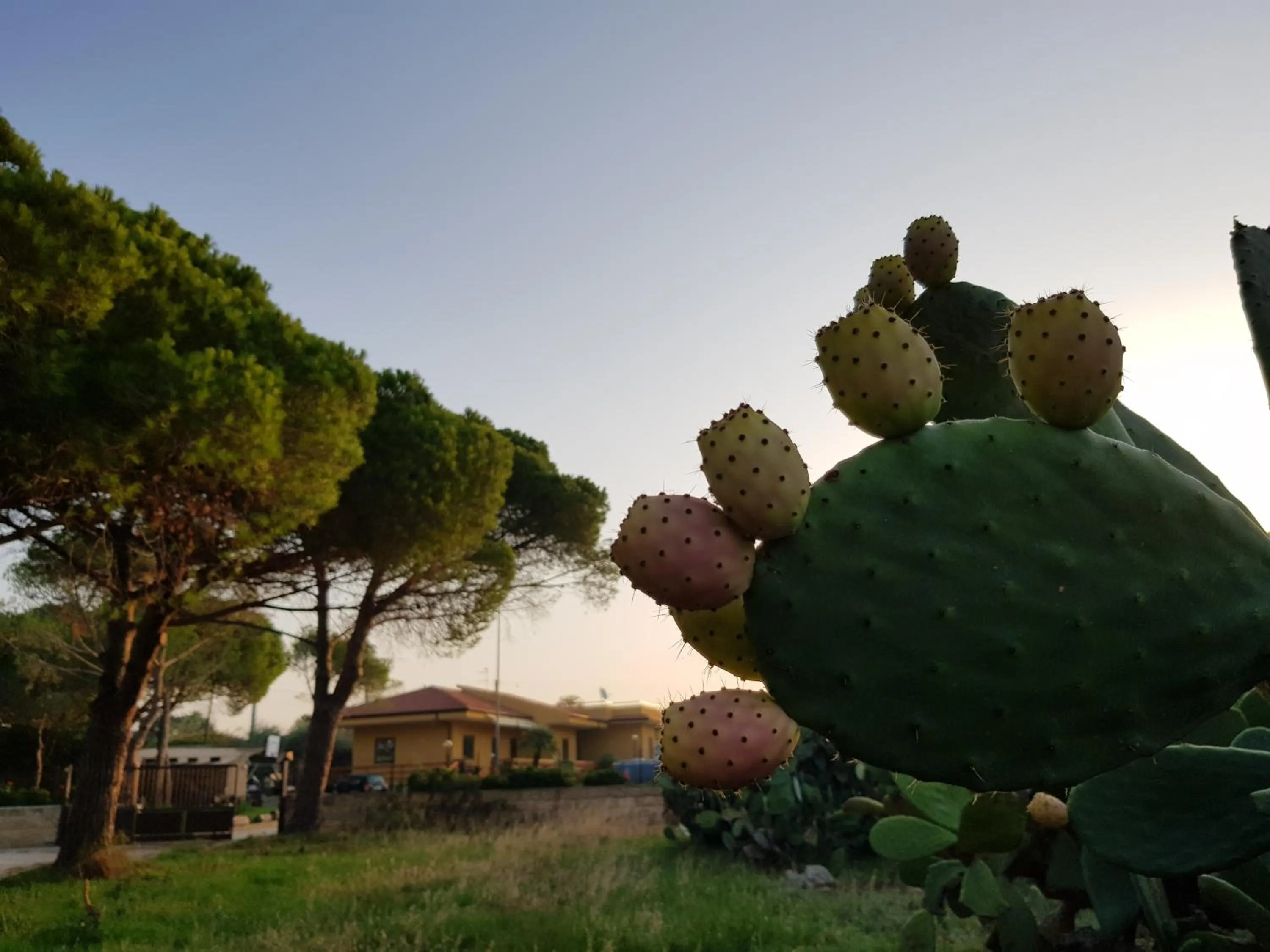 Turtle Island Apartments