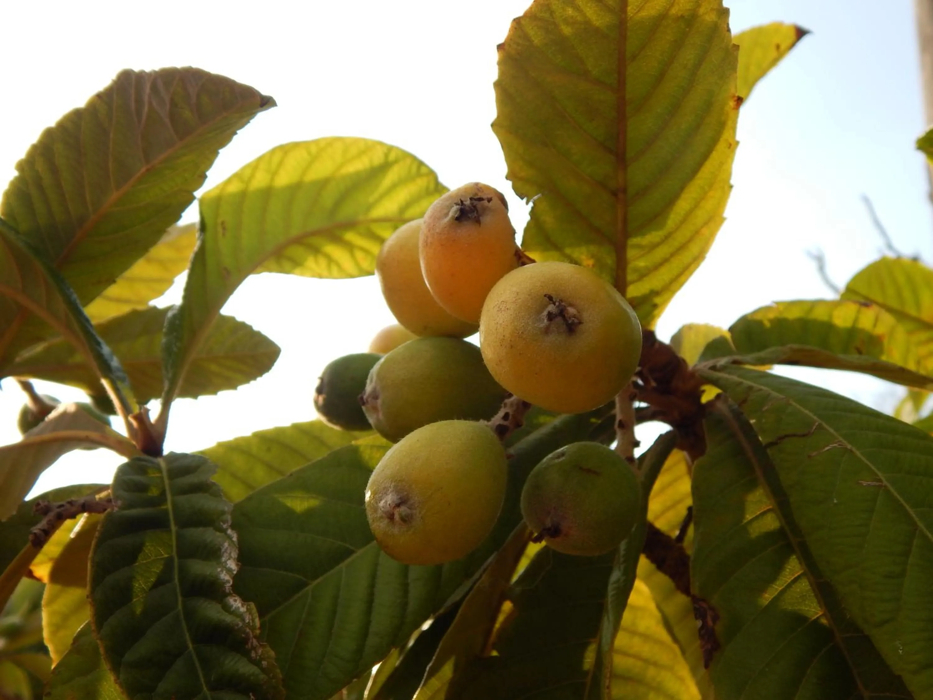 Property building in Turtle Island Apartments