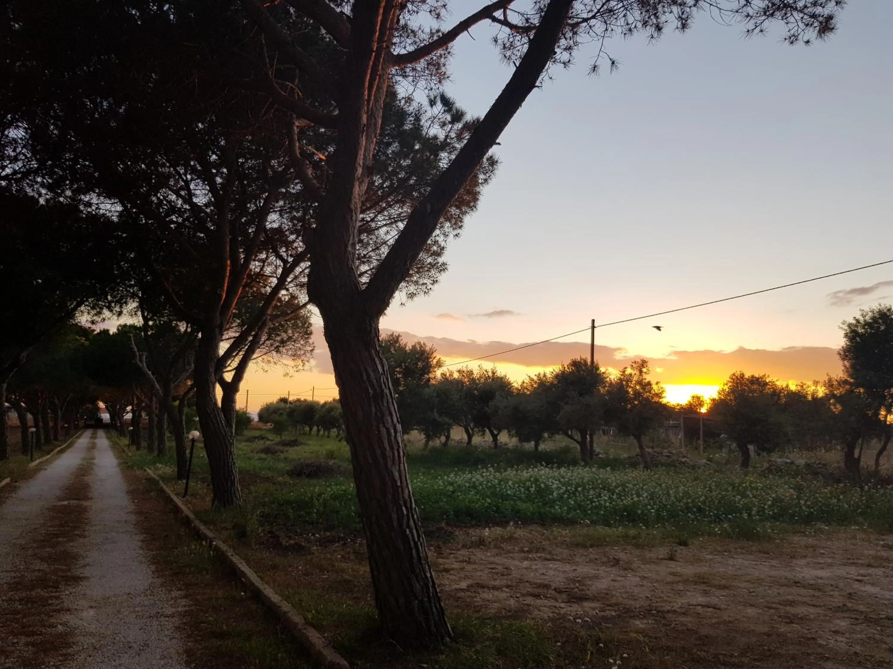 Turtle Island Apartments