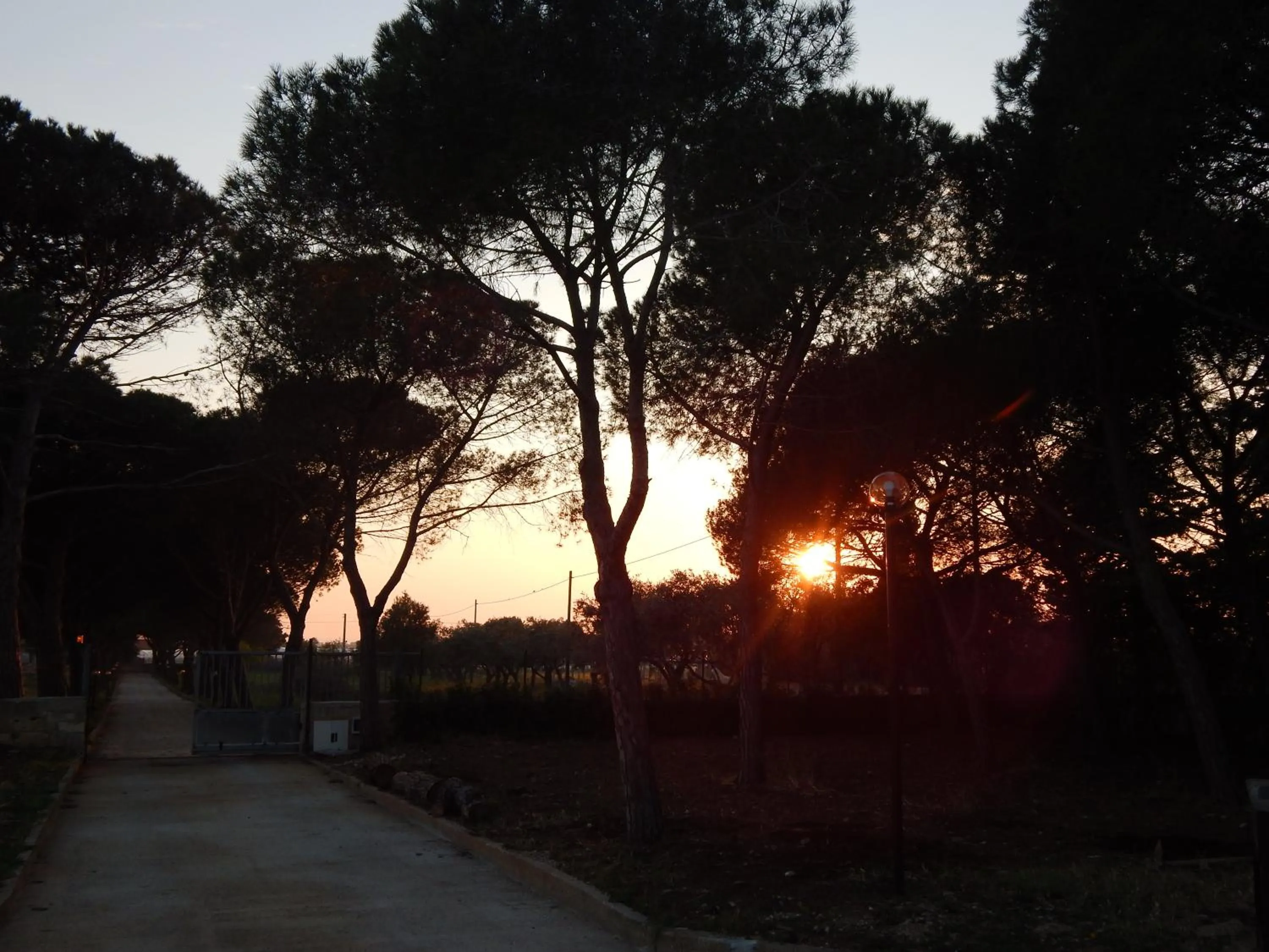 View (from property/room) in Turtle Island Apartments