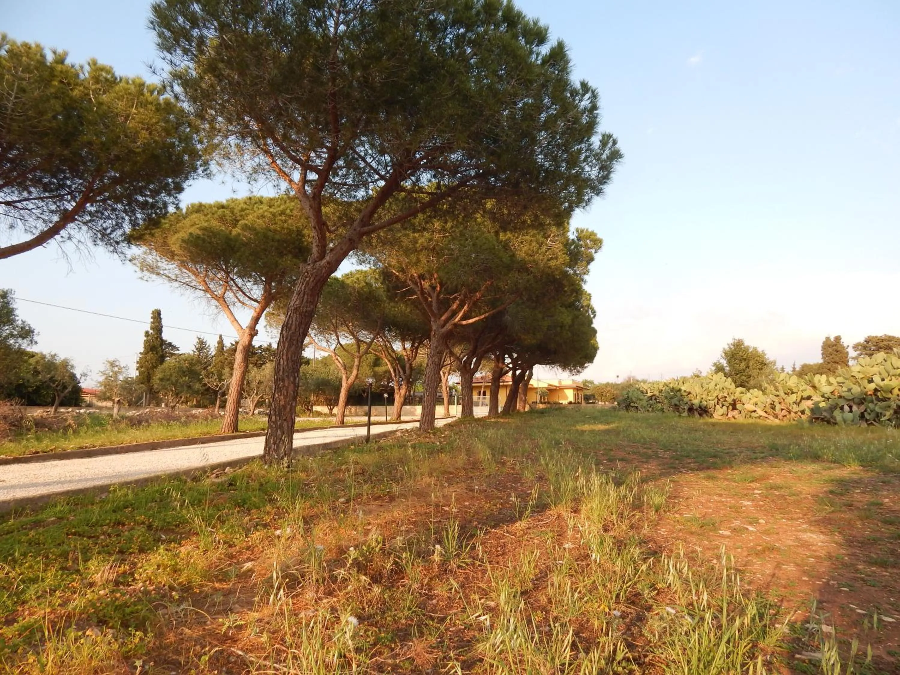 Property building in Turtle Island Apartments