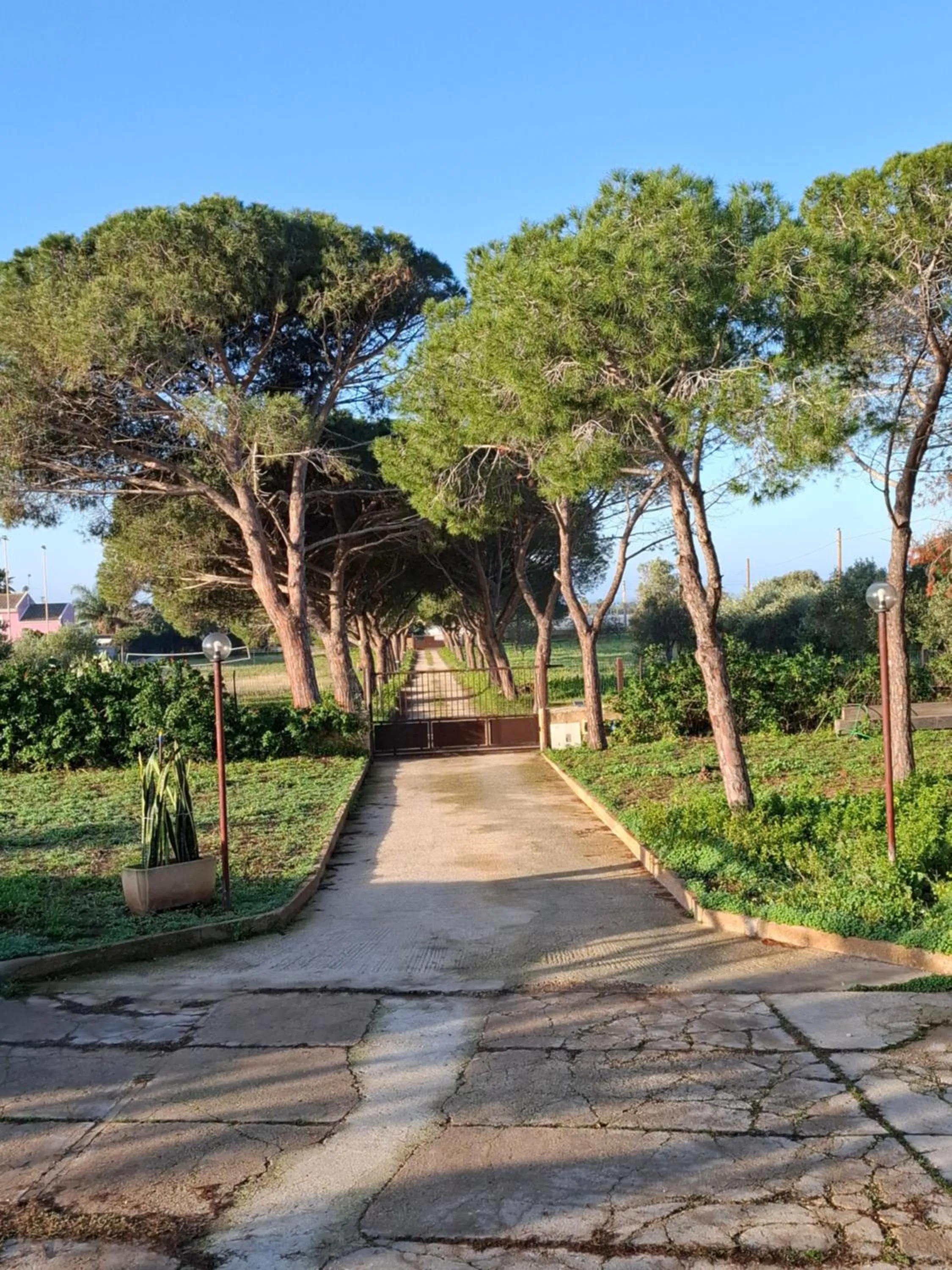 Turtle Island Apartments