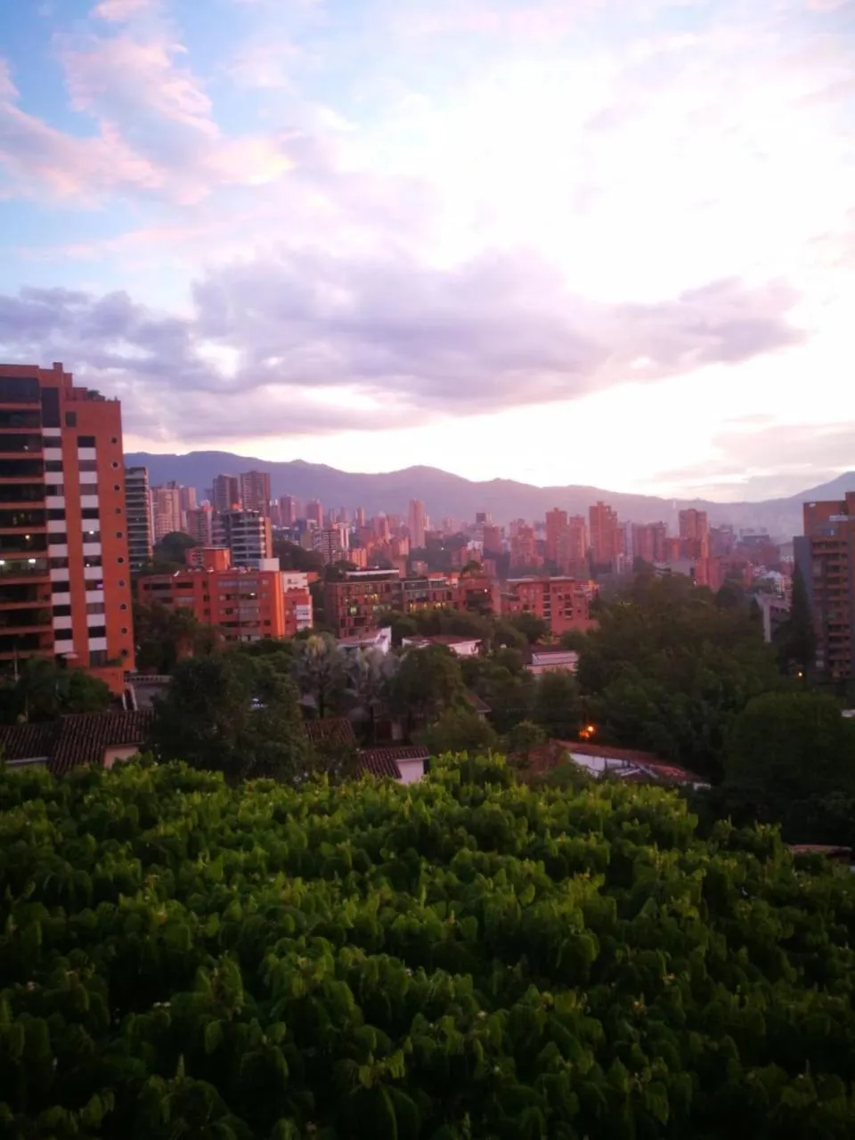 Natural landscape in EcoHub Hotel Medellin