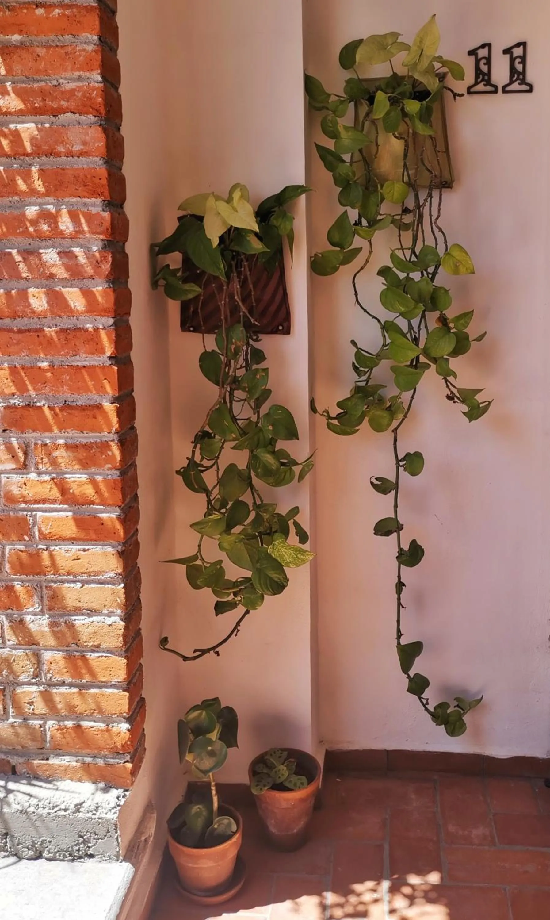 Property building in Santa Josefita B&B