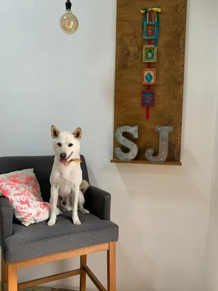 Lobby or reception in Santa Josefita B&B