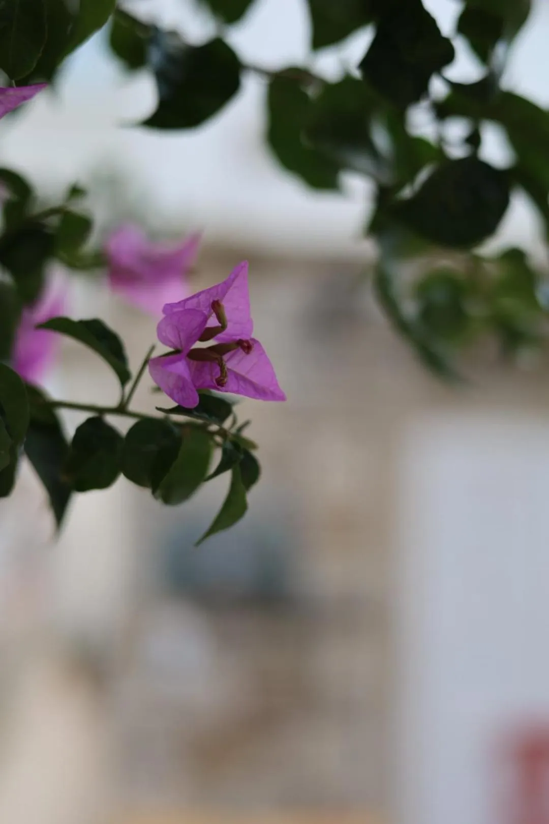 Monat Otel Alaçatı