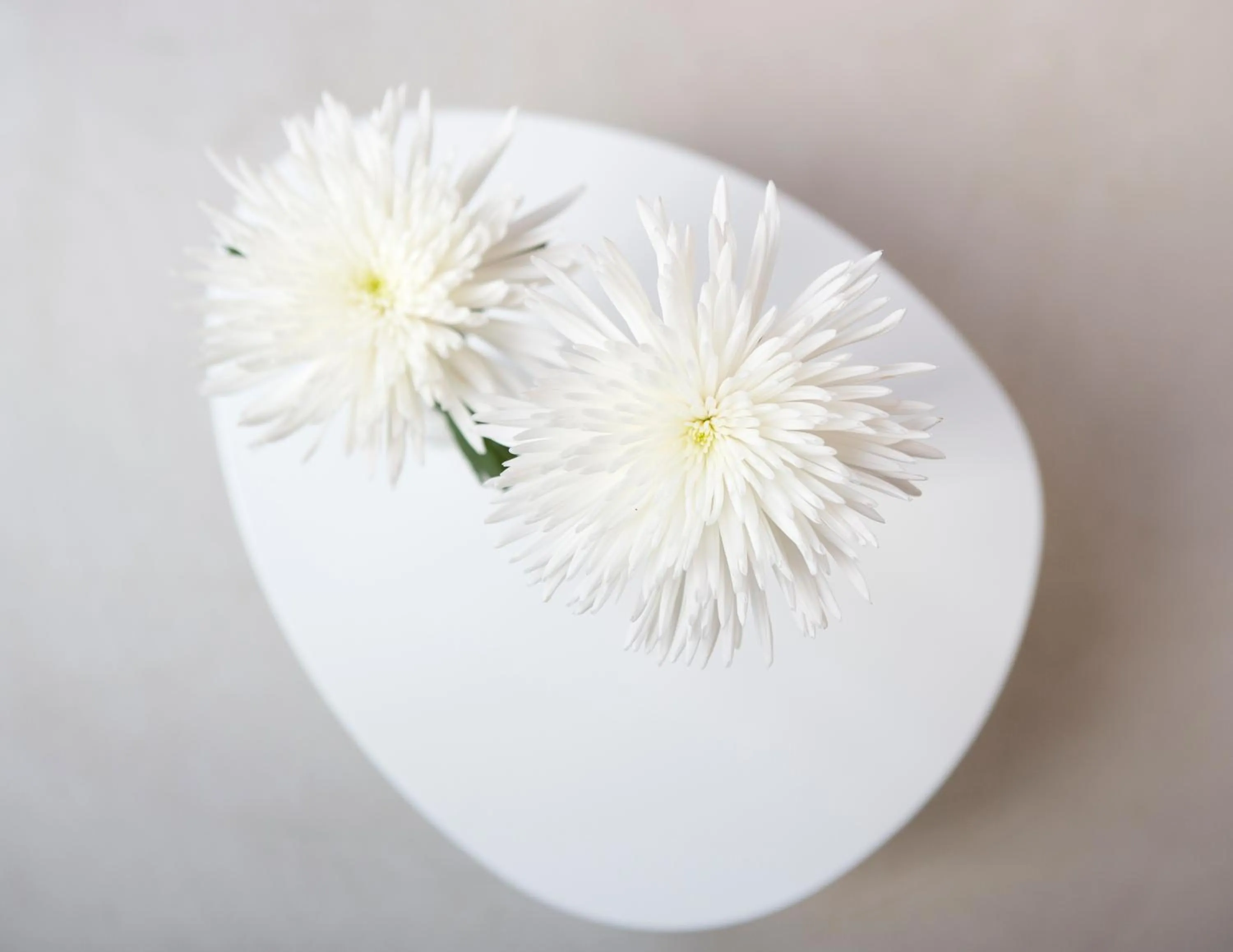 Other in Antidoto Rooms San Agustín - Recomendado para adultos