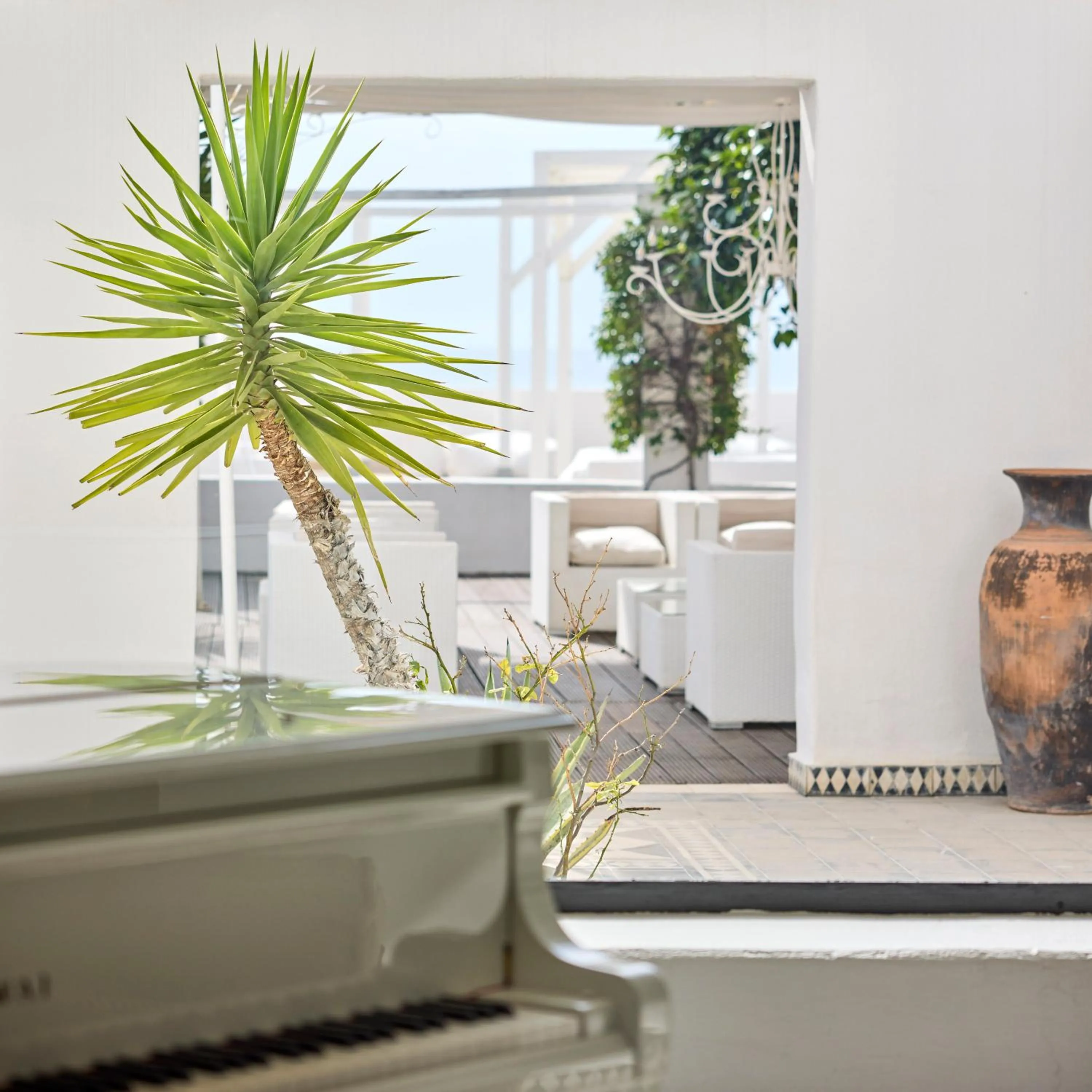 Garden in La Casa E Il Mare, Private Bay Hotel