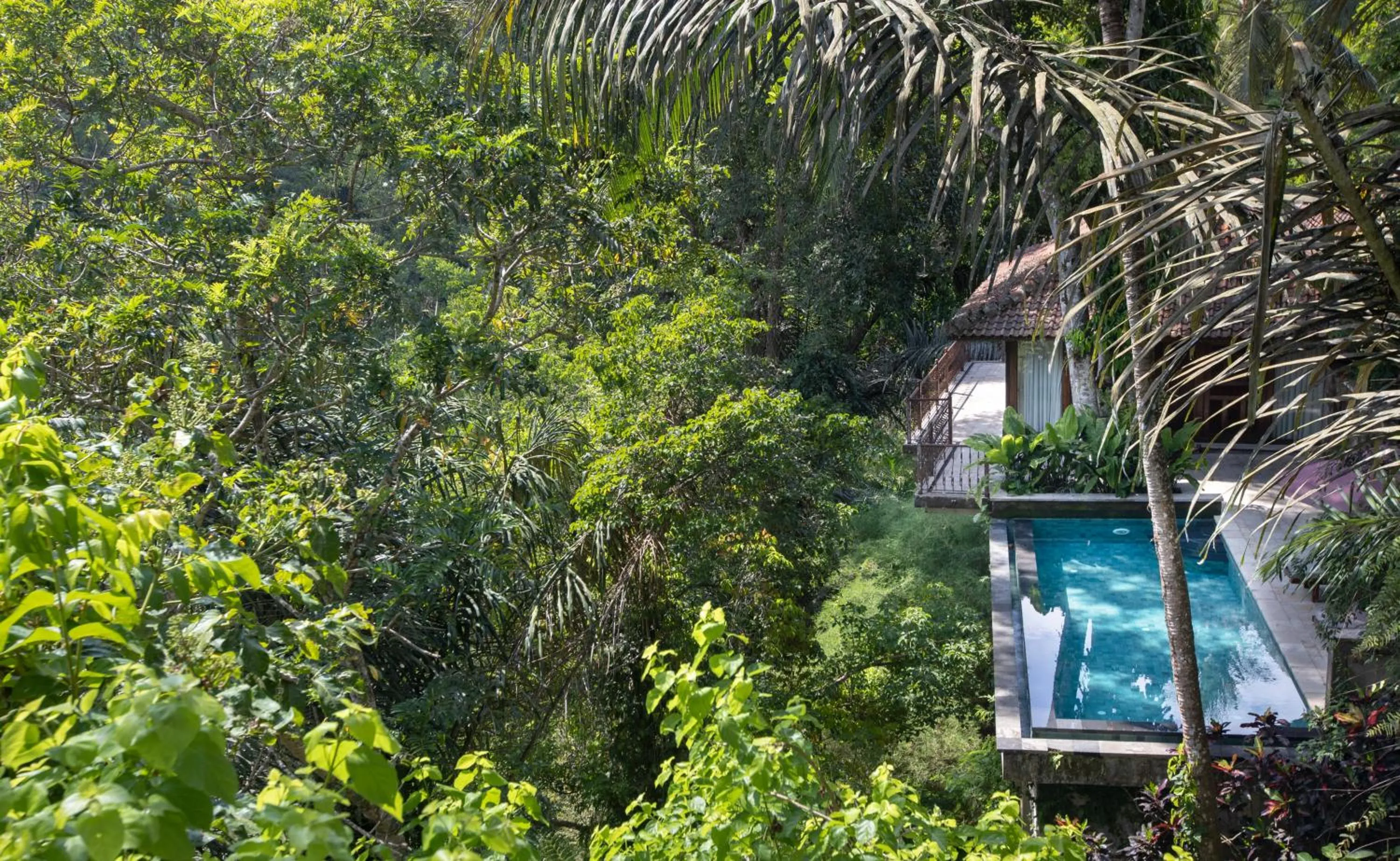 Swimming pool in Ayung Resort Ubud