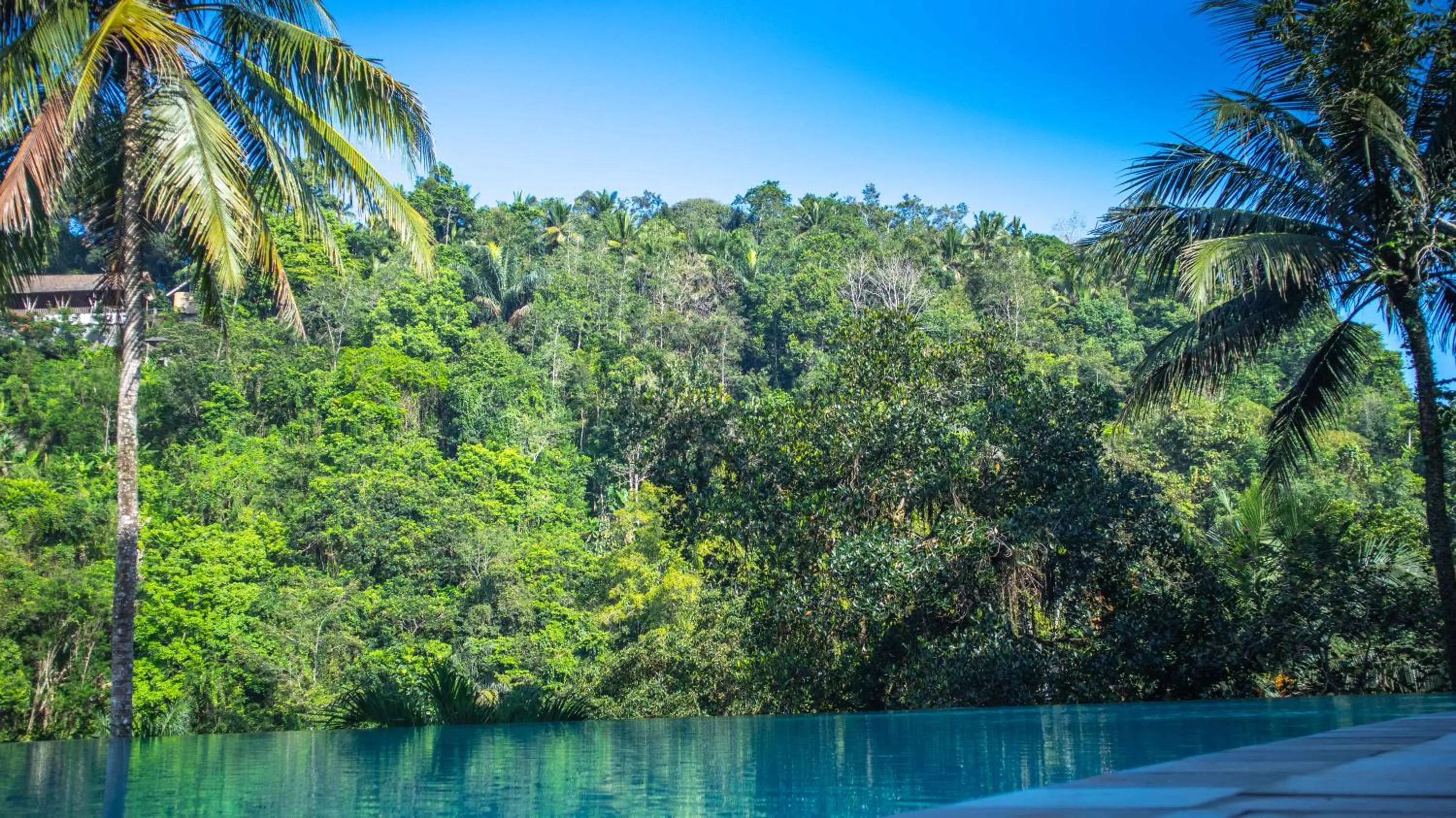 Swimming pool in Ayung Resort Ubud
