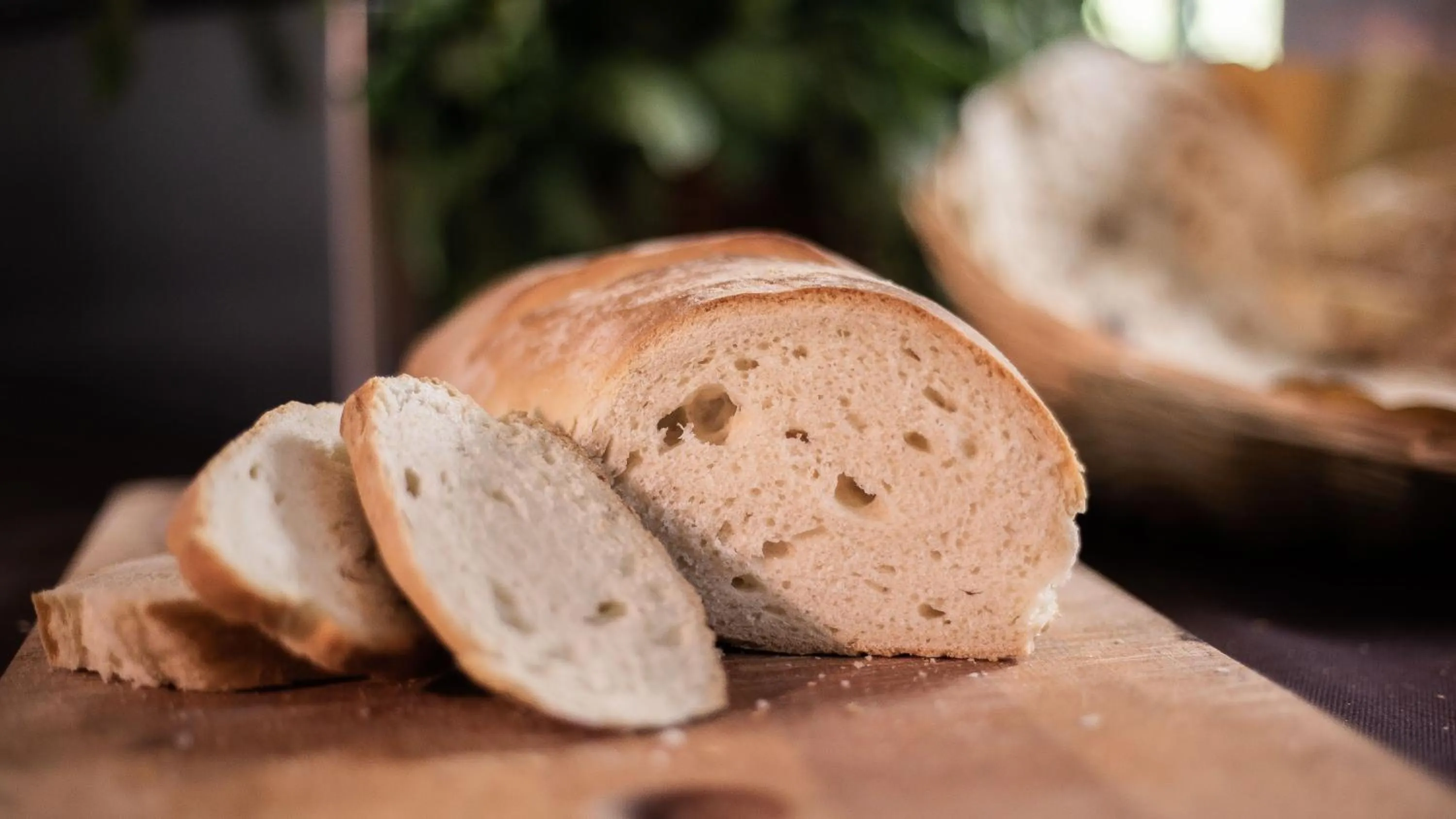 Food and drinks in Agriturismo Zugarelli