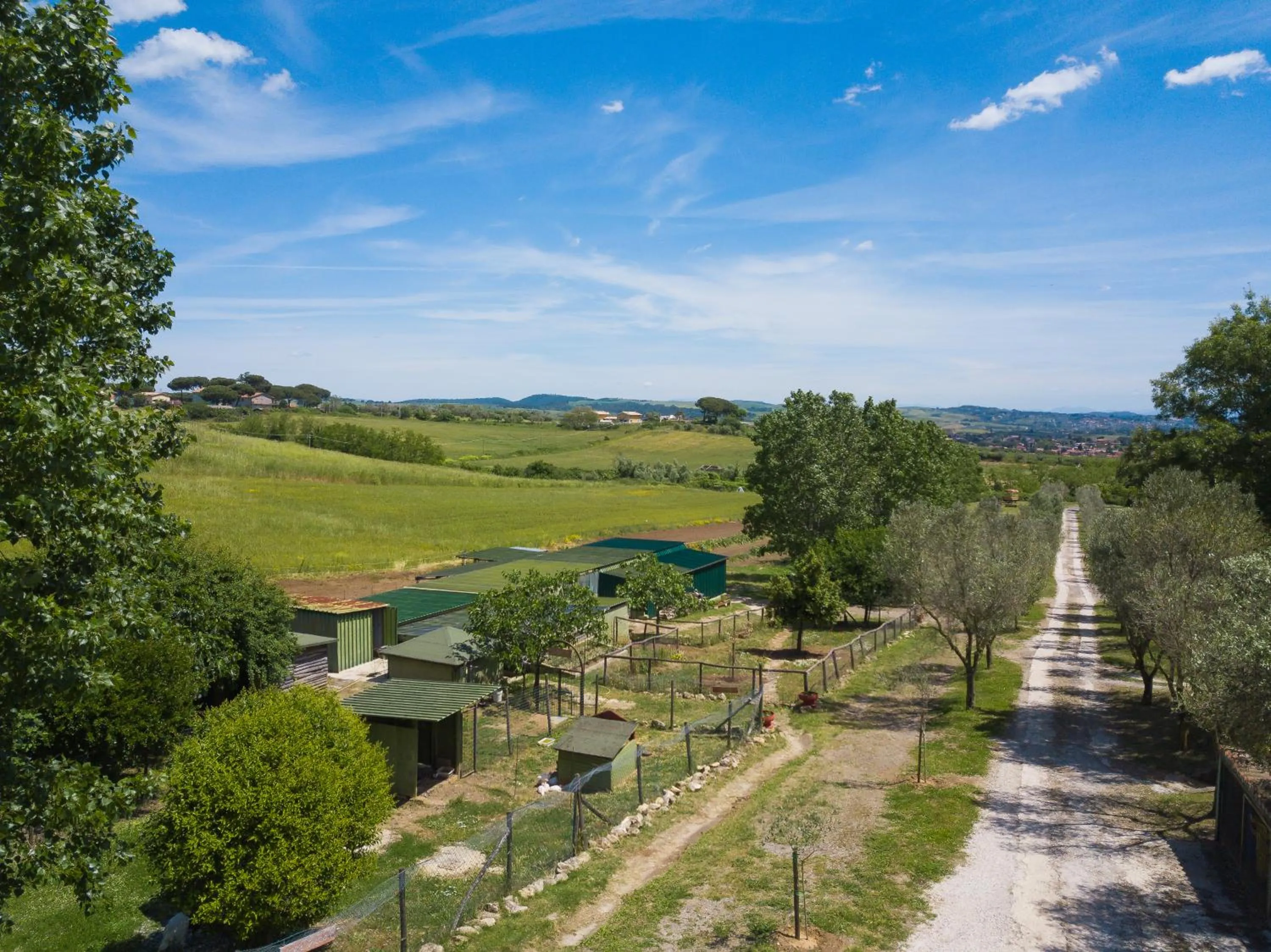 Bird's eye view in Agriturismo Zugarelli