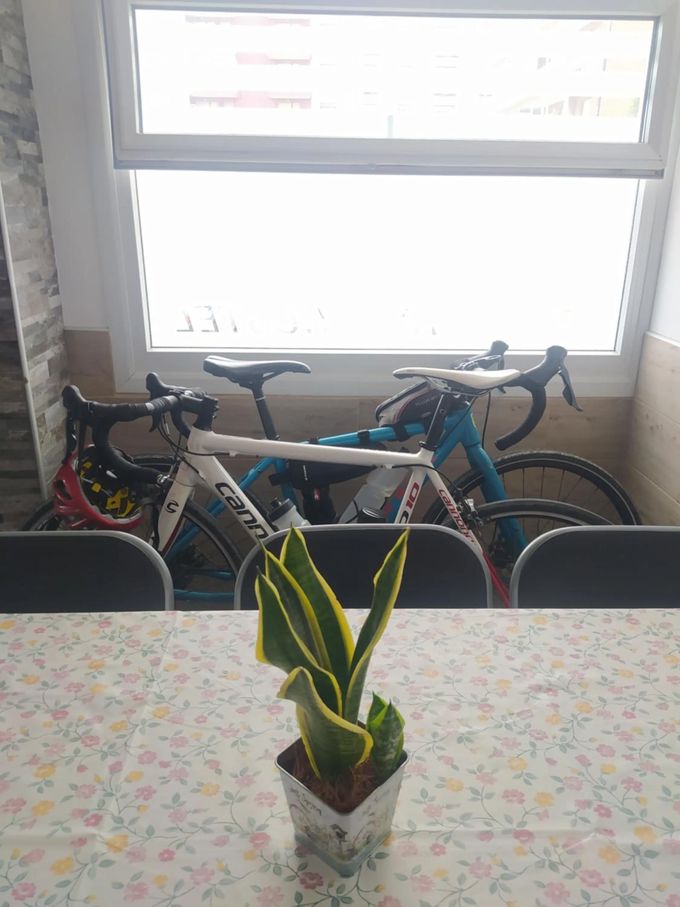 Hego Haize Albergue Hostel