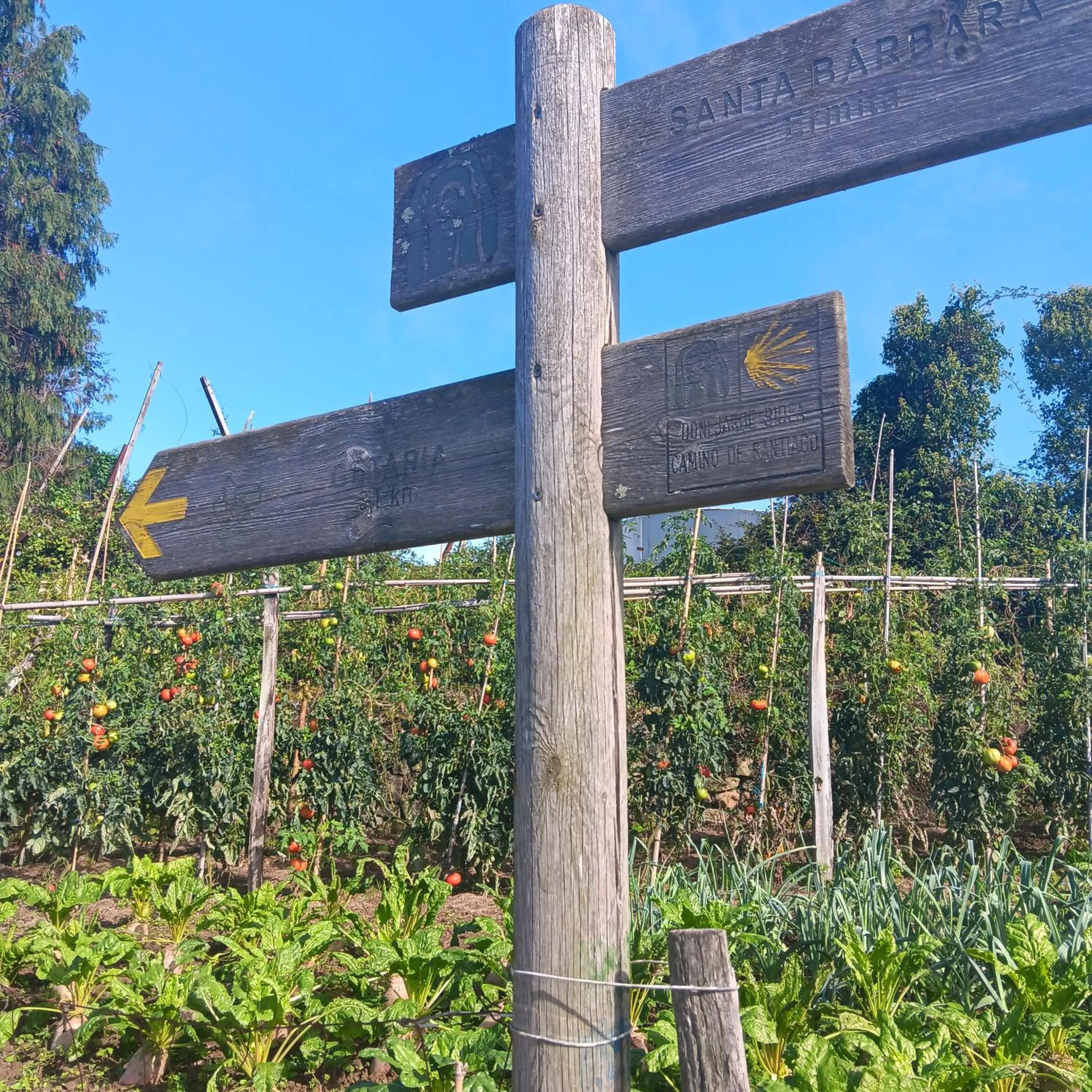 Hego Haize Albergue Hostel