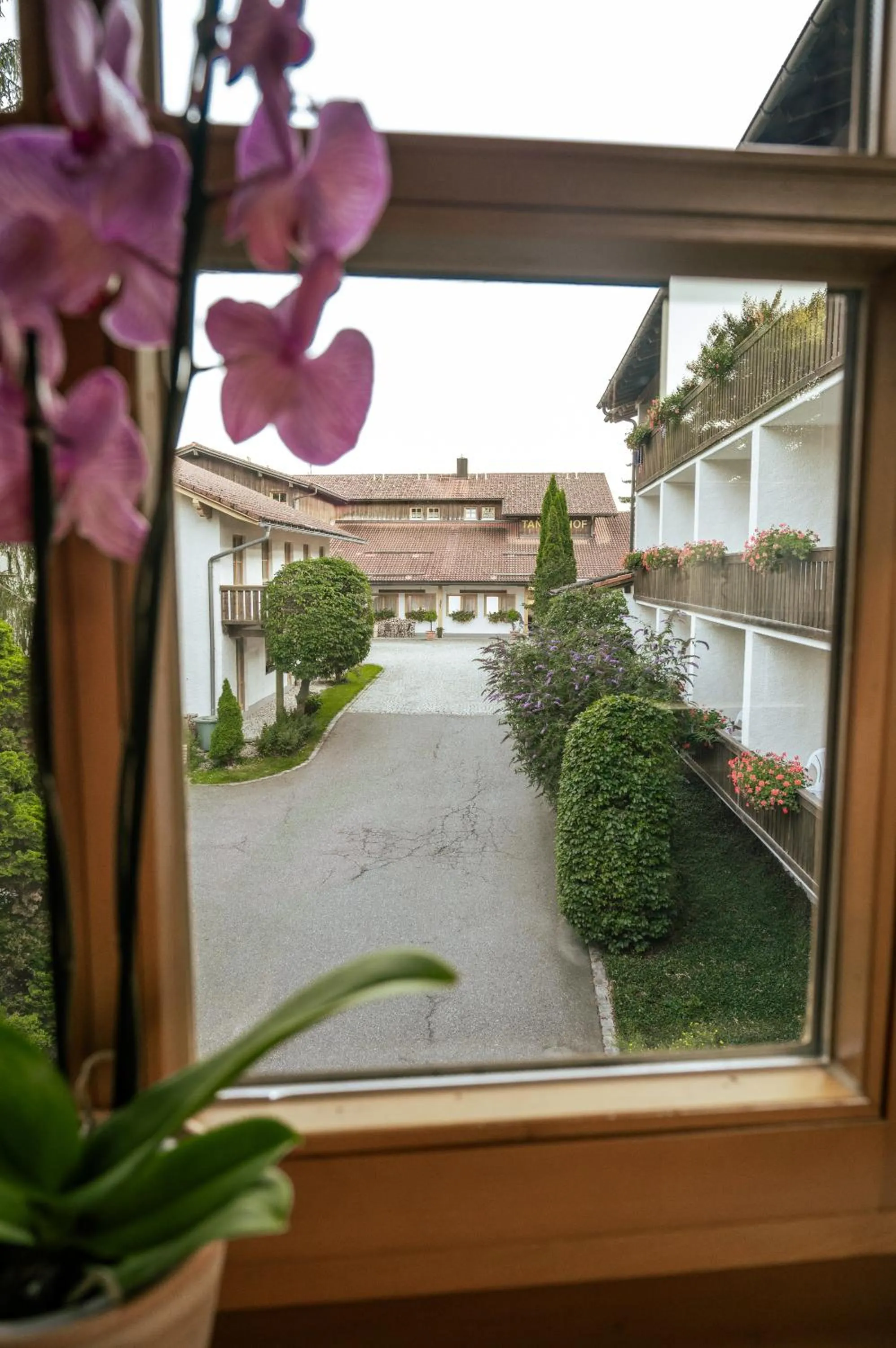 Patio in Landhotel Tannenhof
