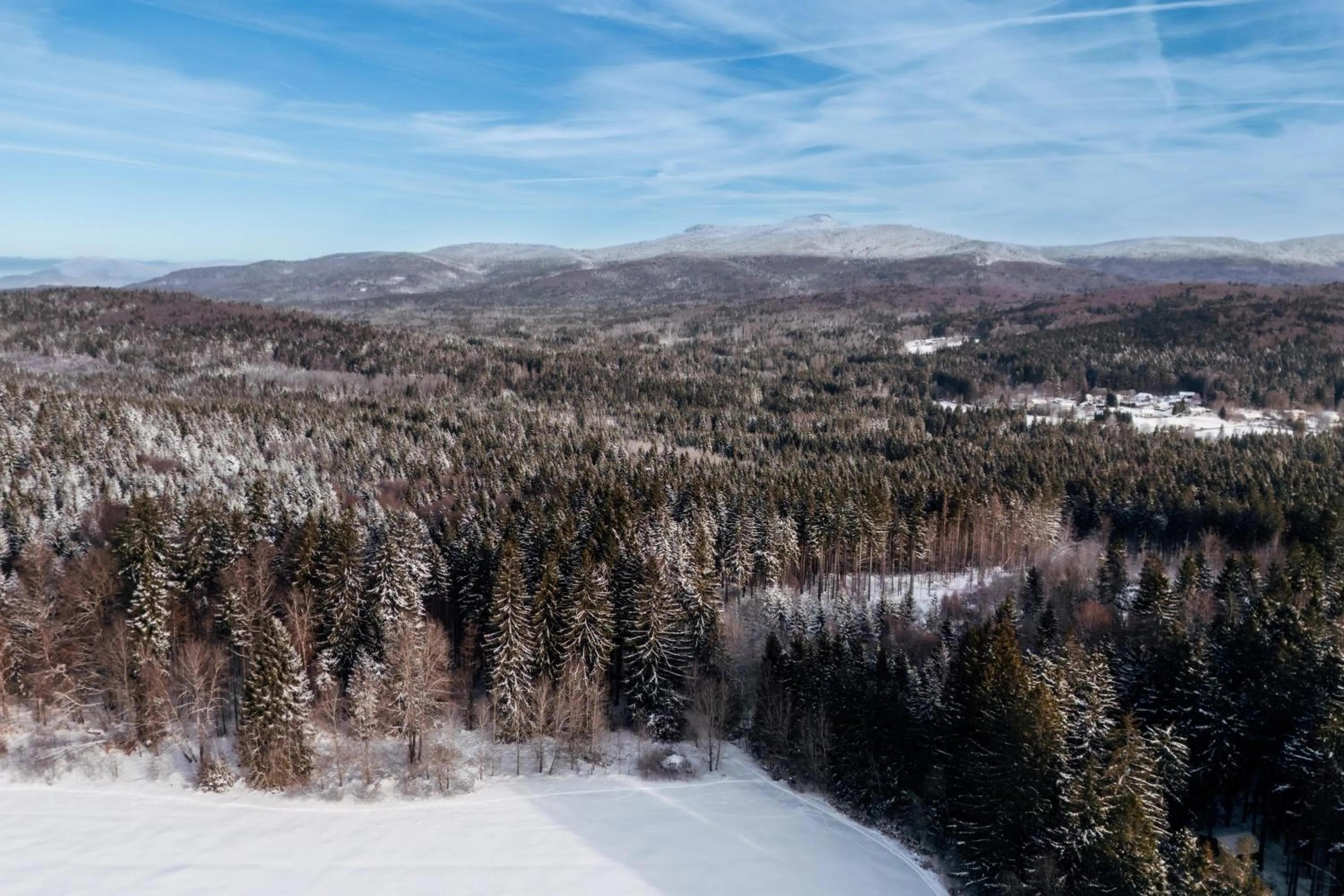 Natural landscape in Landhotel Tannenhof