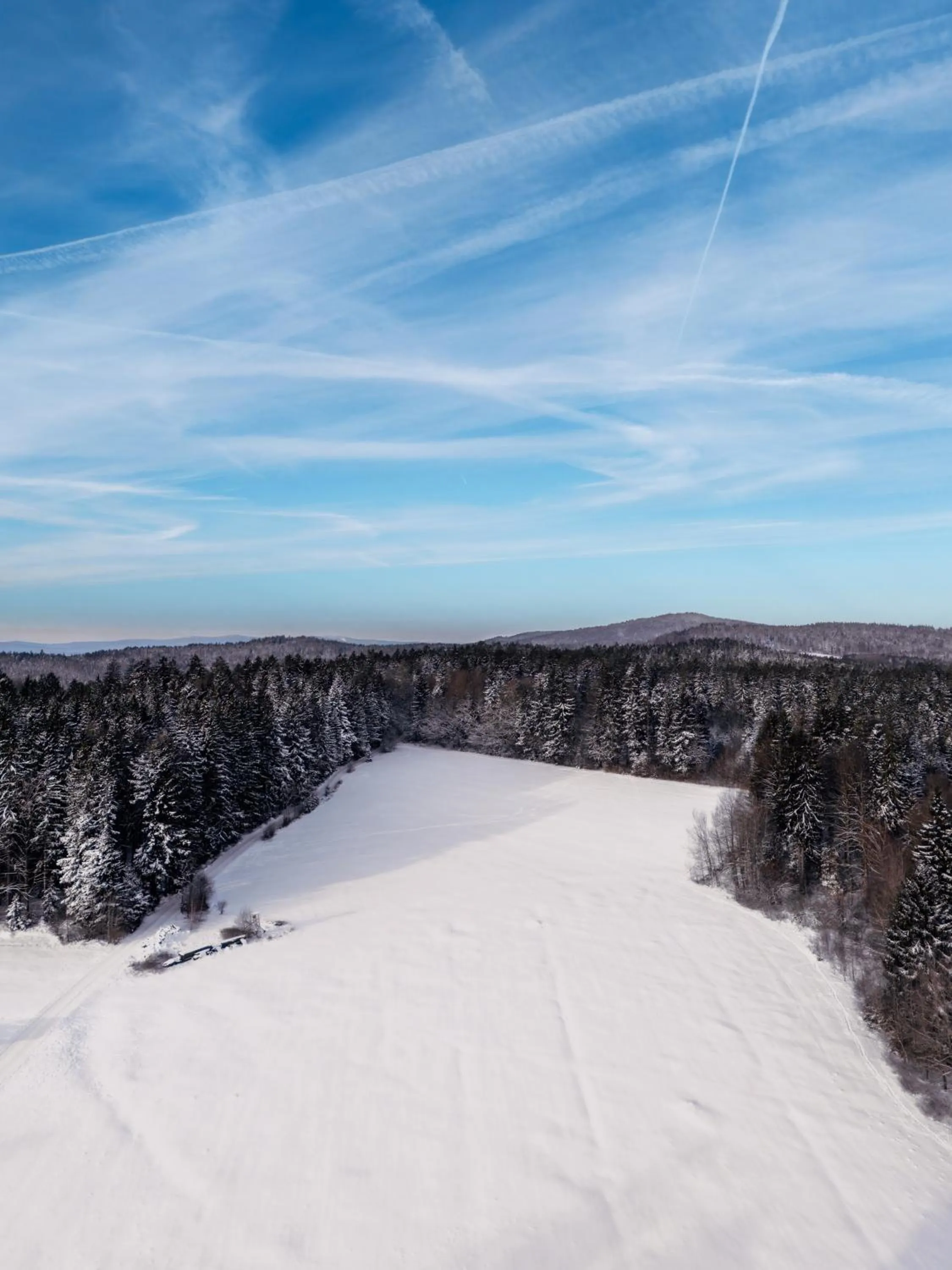 Area and facilities in Landhotel Tannenhof