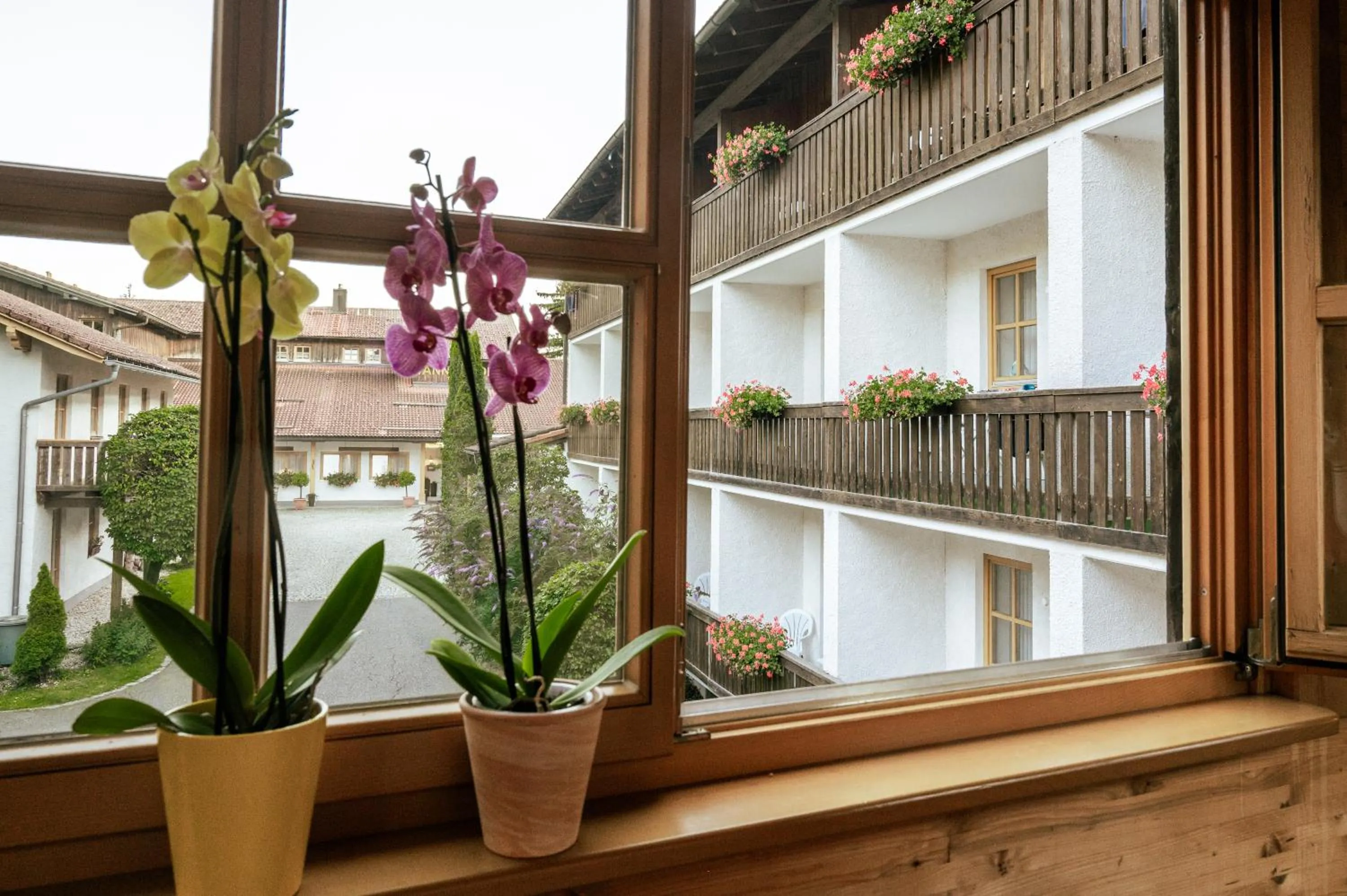 Patio in Landhotel Tannenhof