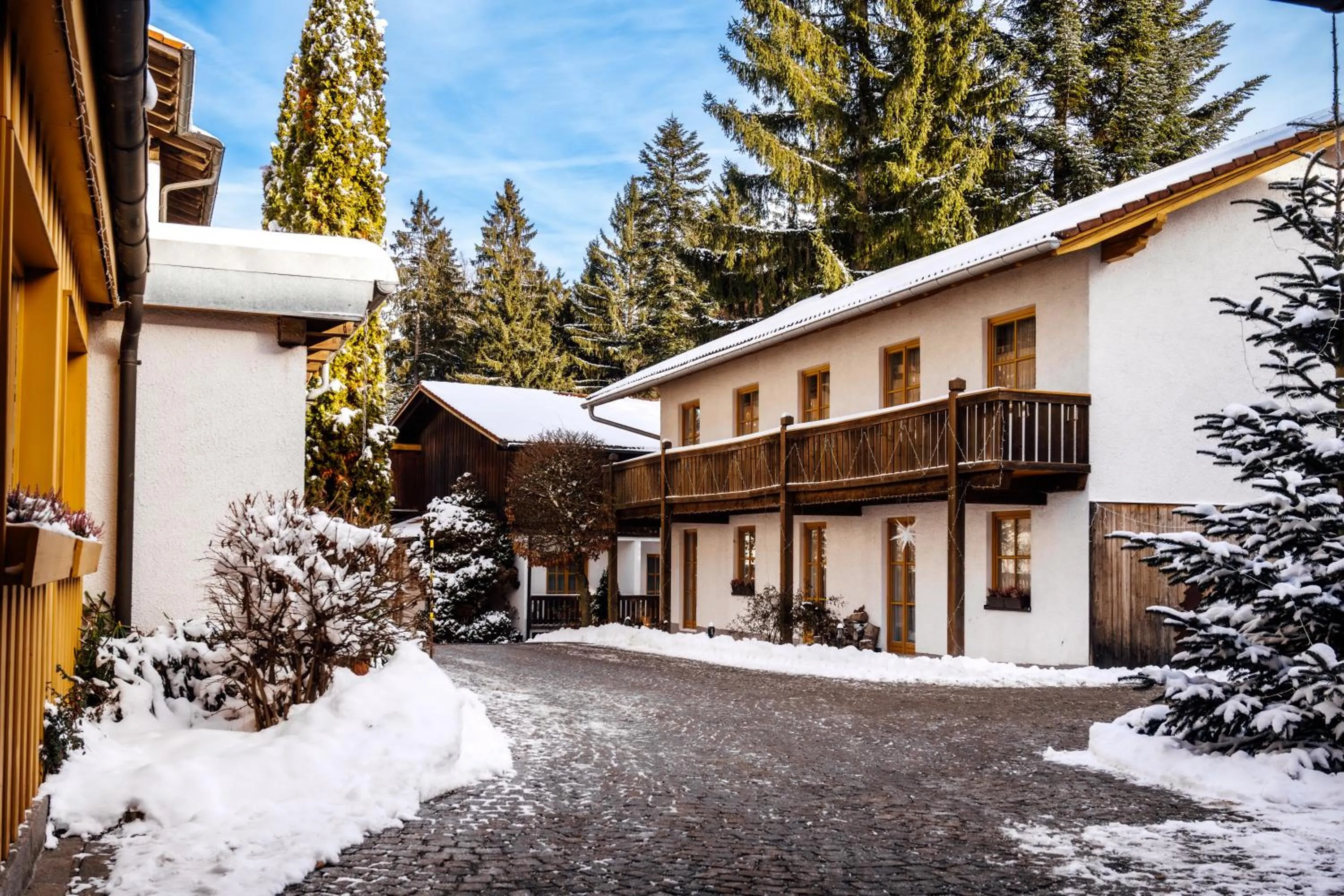 Winter in Landhotel Tannenhof