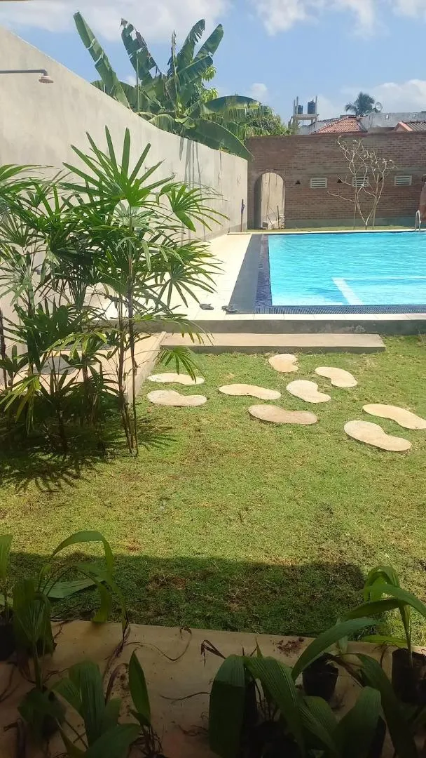Garden in Ocean View tourist guest house at Negombo beach near the airport