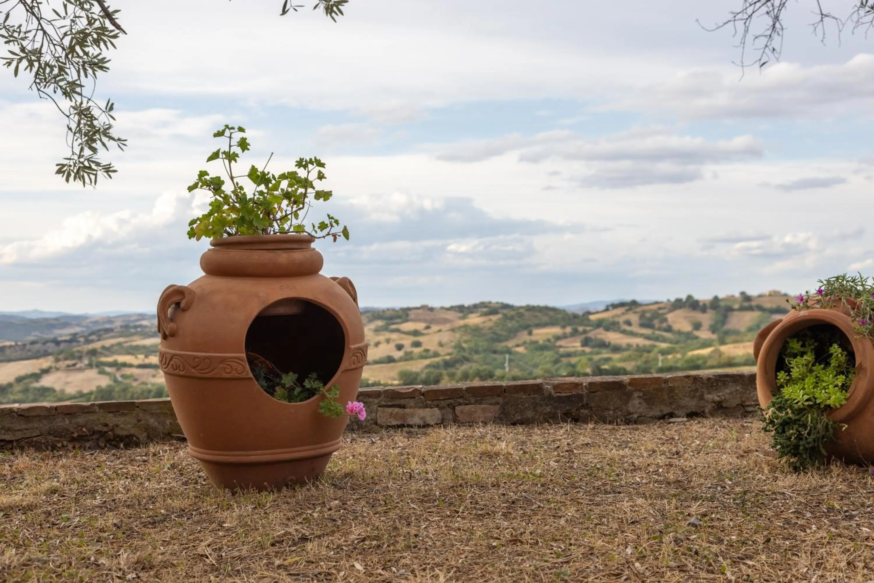 Natural landscape in Tenuta Fattoria Vecchia