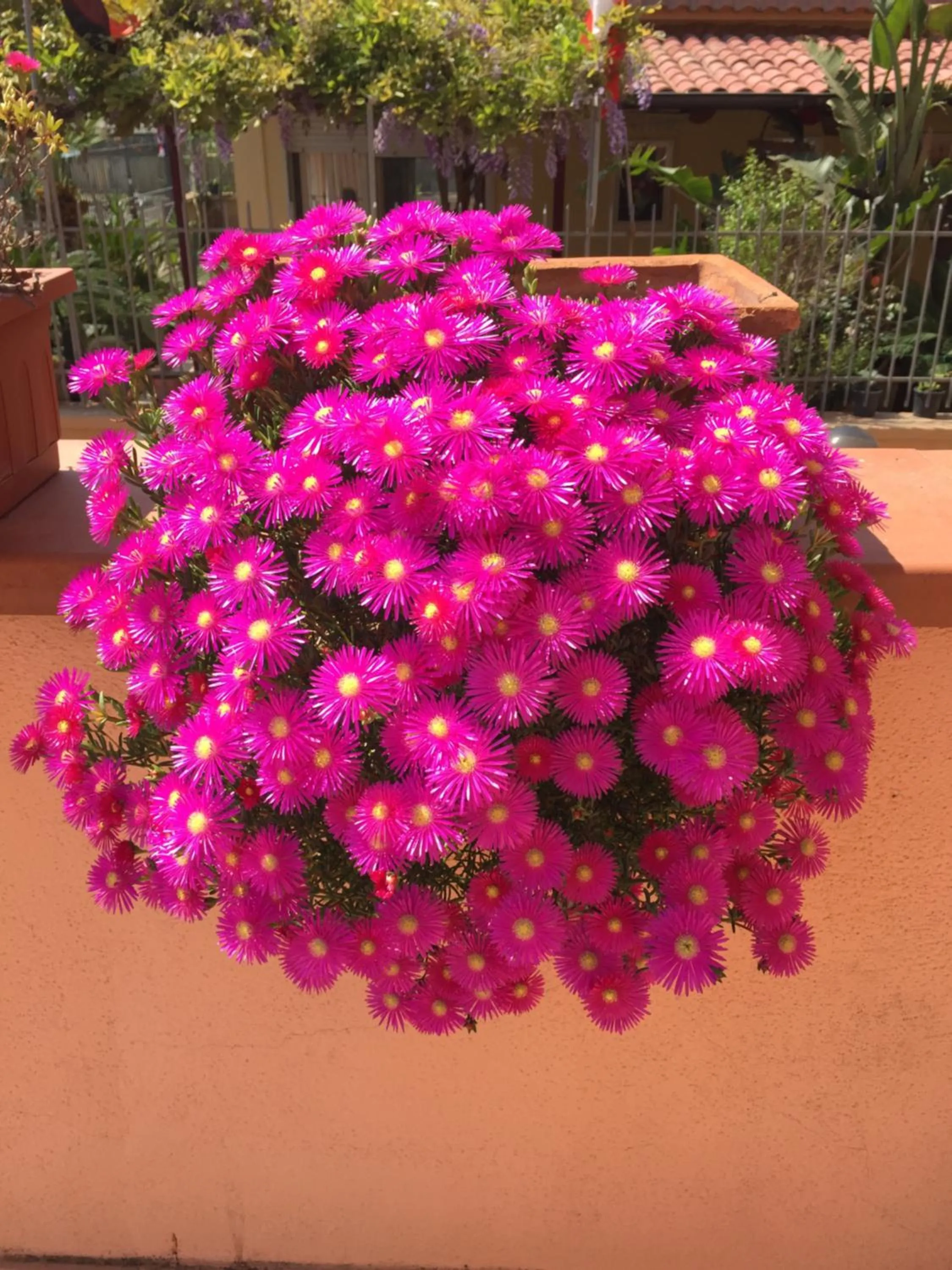 Property building in Anthea B&B