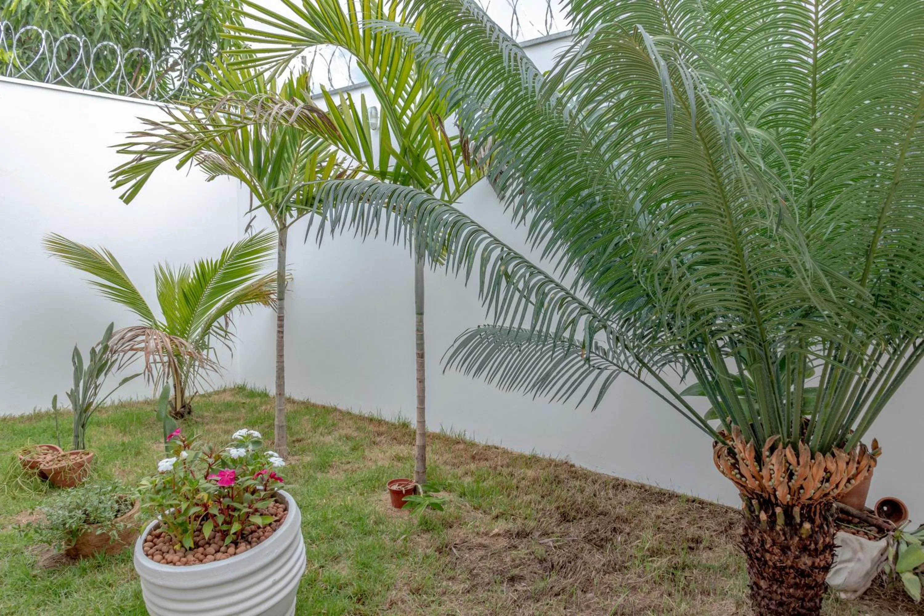 Pousada São Francisco