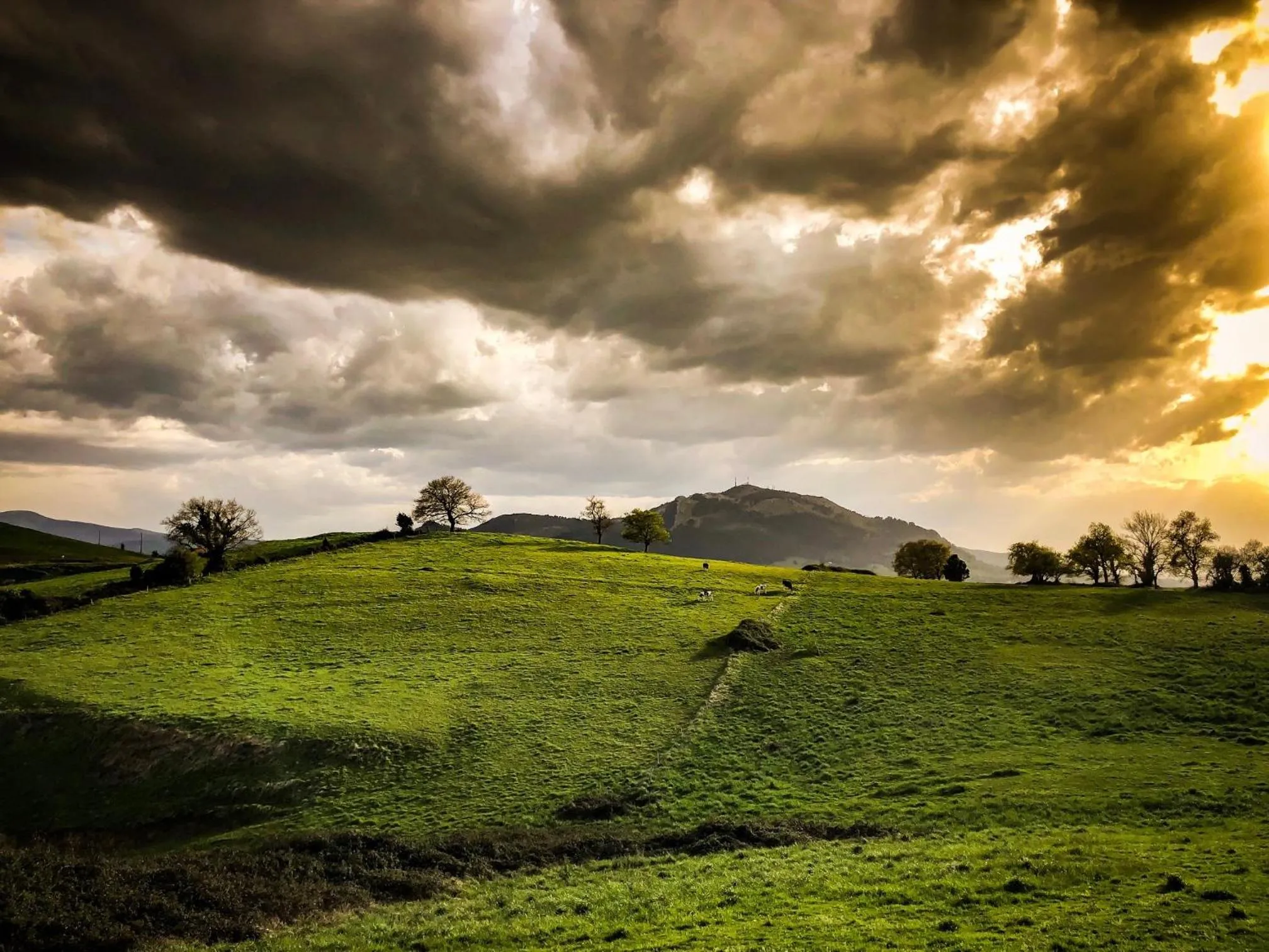 View (from property/room) in El Mirador de Rivas