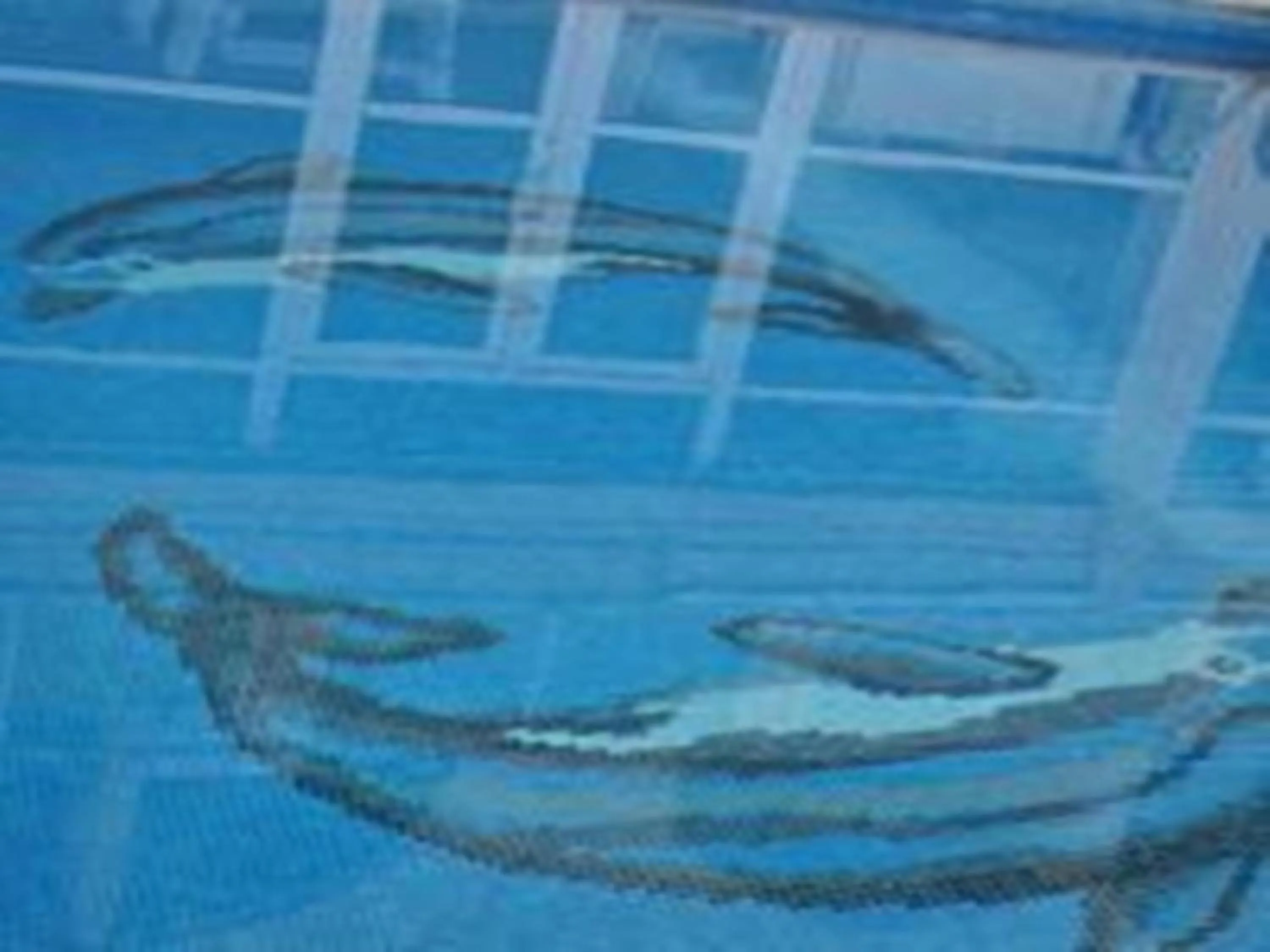 Swimming pool in Ucem Hotel Golden Sea