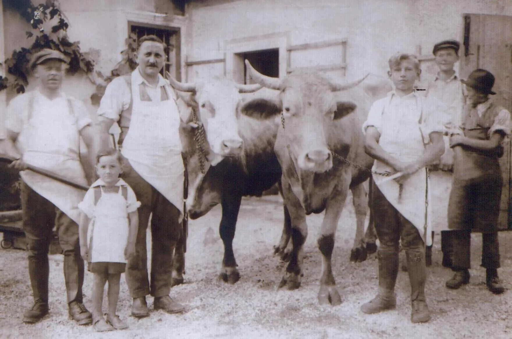 Property building in Pri Žabarju Bed & Breakfast Ljubljana