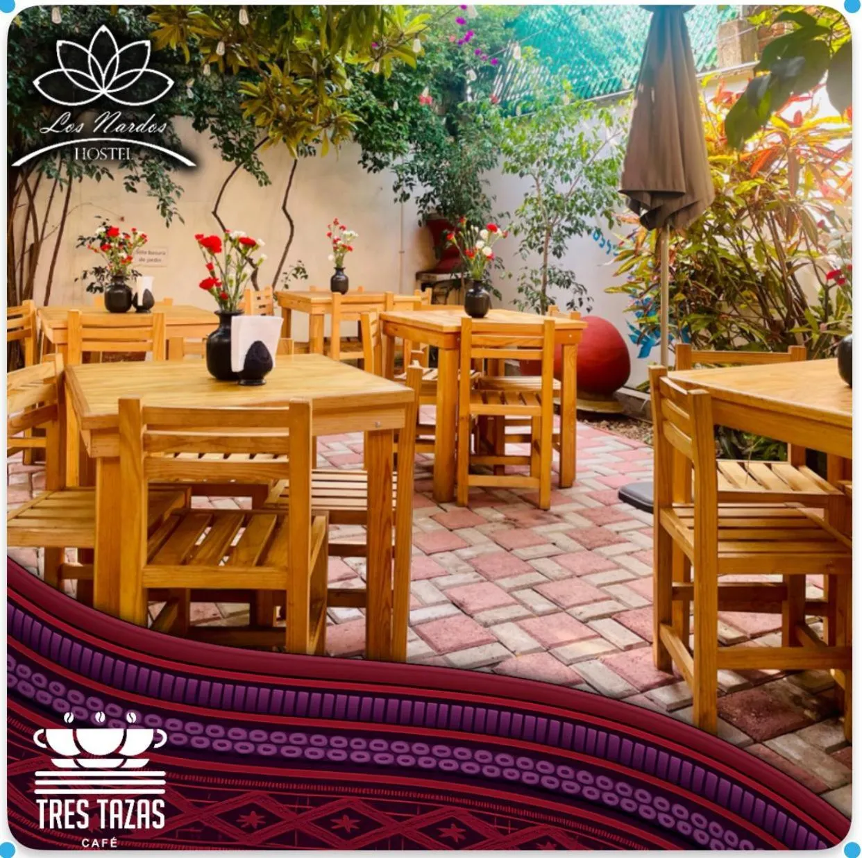 Los Nardos Hostel -pet friendly-